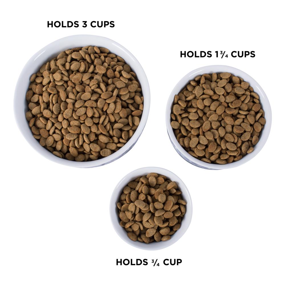 DII CAMZ37247 Pet-Bowls - View #7