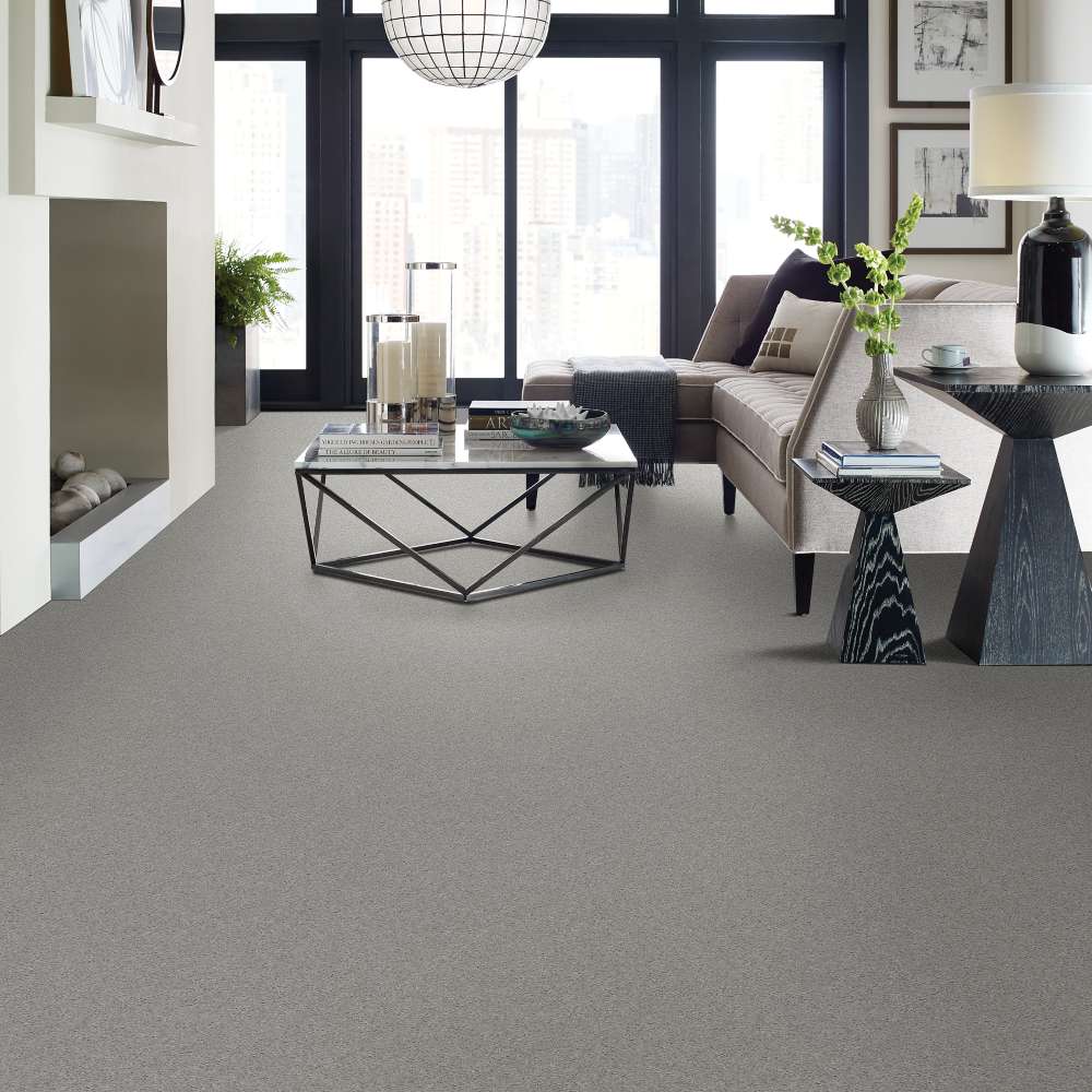 STAINMASTER 7L79000521 Carpet-Panel - View #3