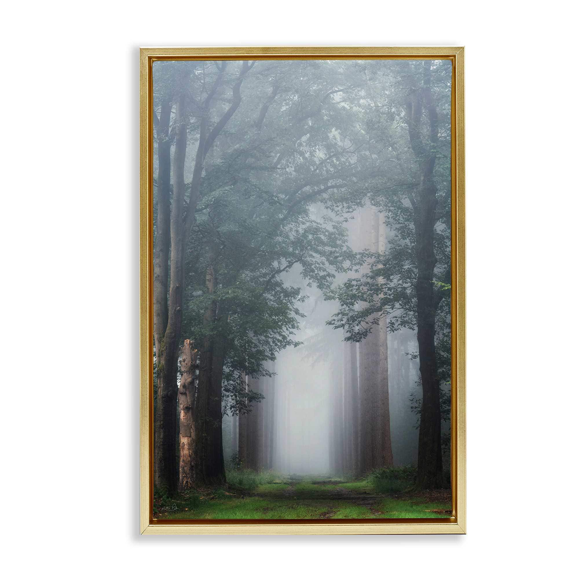 Stupell Industries BT-590-FFG-20X30 Calm Forest Clearing Floating Frame design by Martin Podt