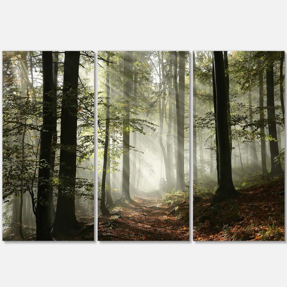 Designart PT9835-3P 28-in H x 36-in W Landscape Print on Canvas