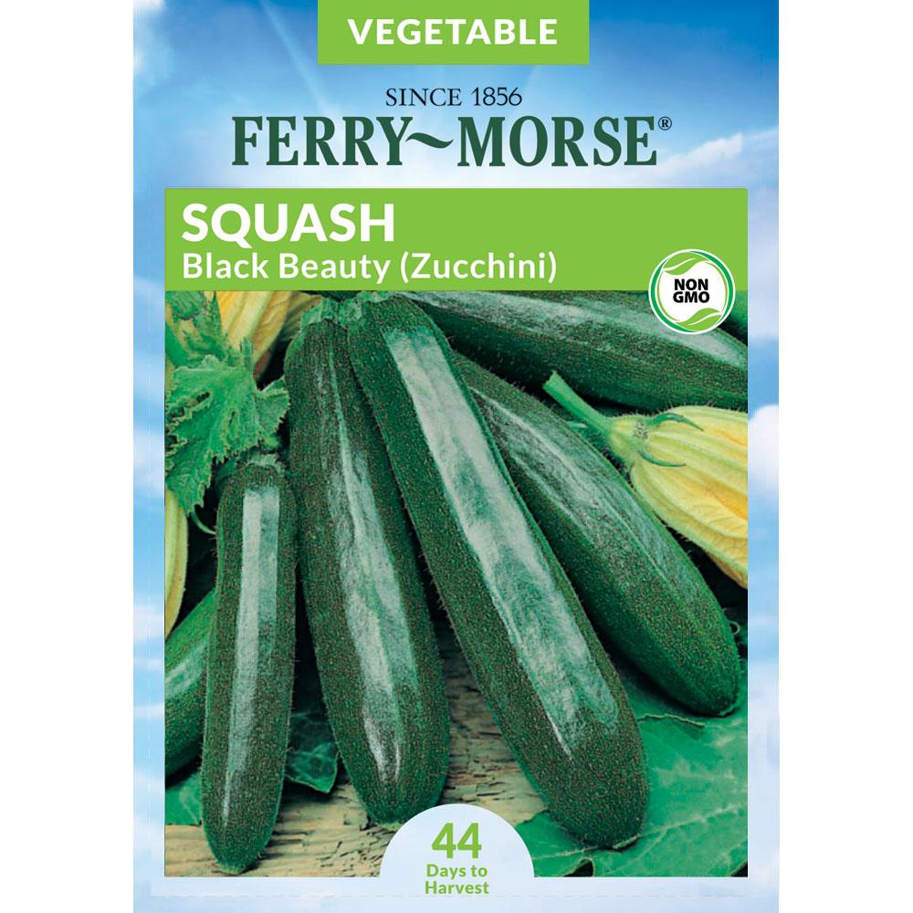 Ferry-Morse 463153.178.907367 Squash Black Beauty Zucchini Vegetable Seeds 4.5-Gram