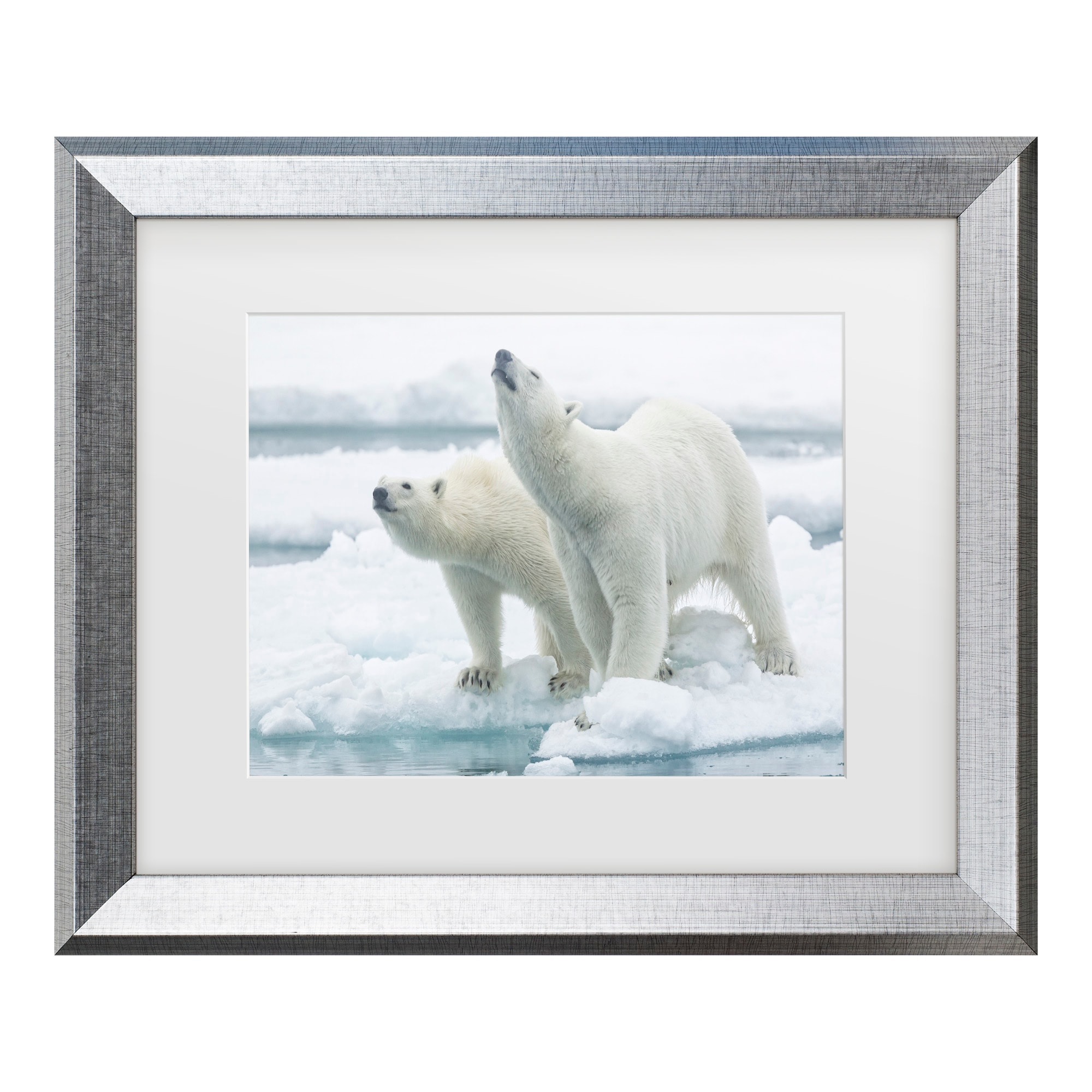 Trademark Fine Art 1X10917-S1620MF Wall-Art - View #2