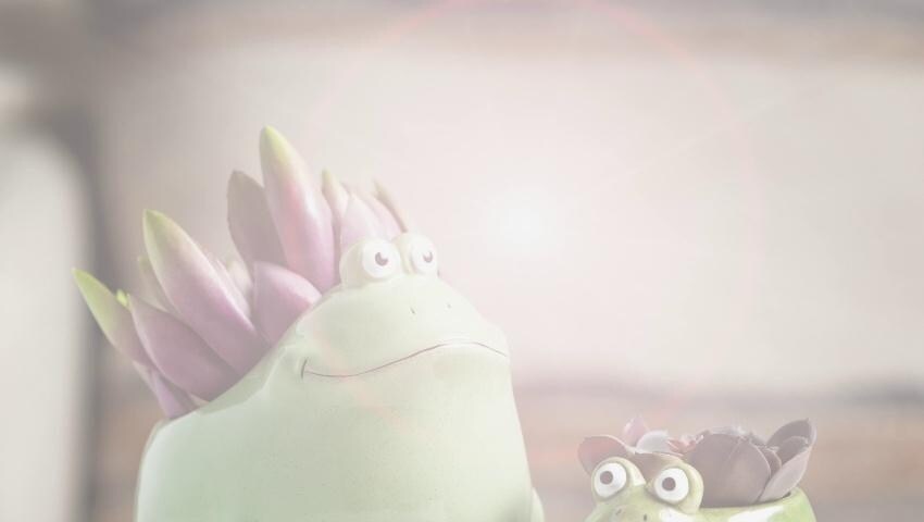 A thumbnail for the video