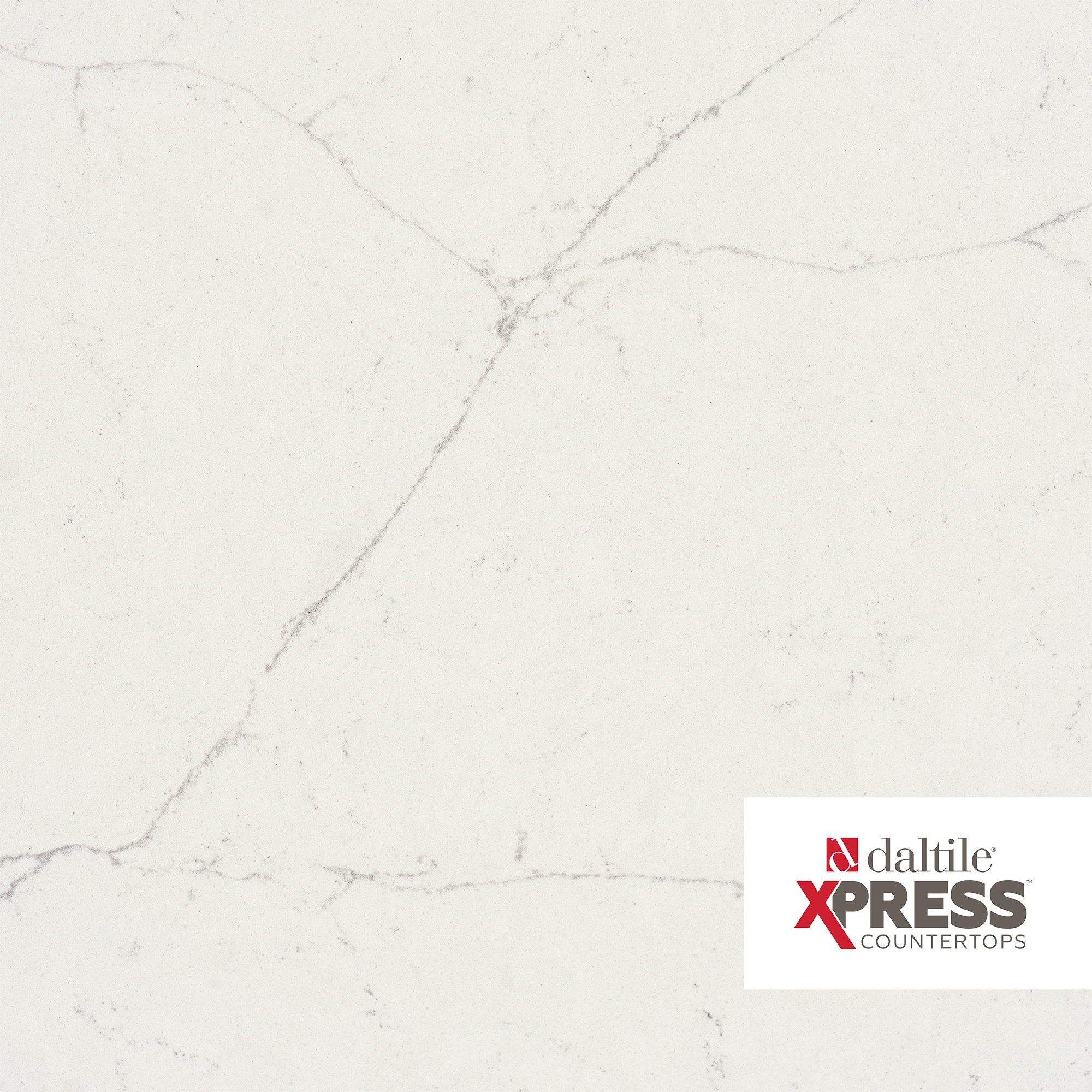 Daltile Valor White Valor White Polished Quartz White Kitchen Countertop SAMPLE ( 4-in x 6-in )