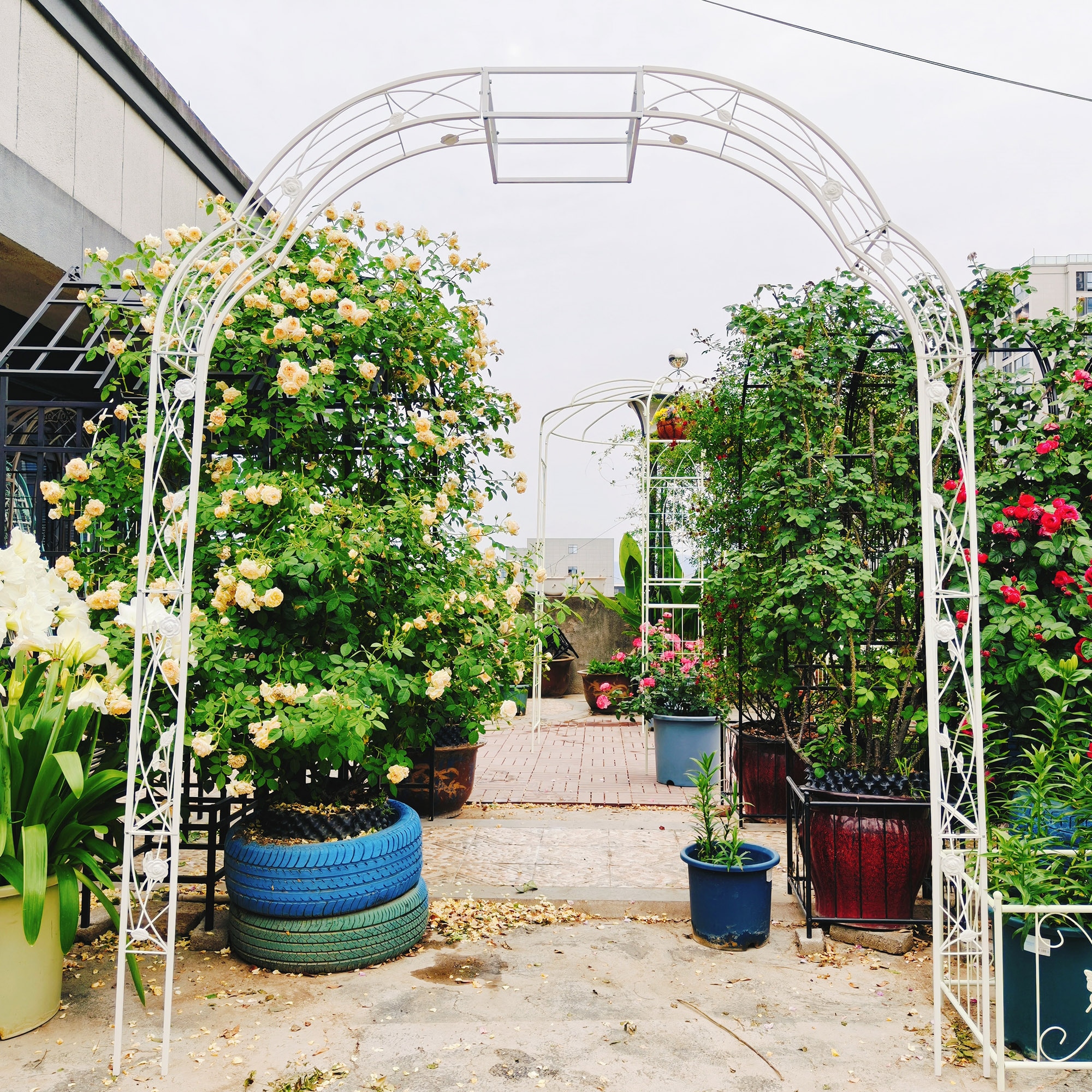 PetriMins Freely 8 Styles White Garden Arch Metal Arbor 8.2ft Trellis ...