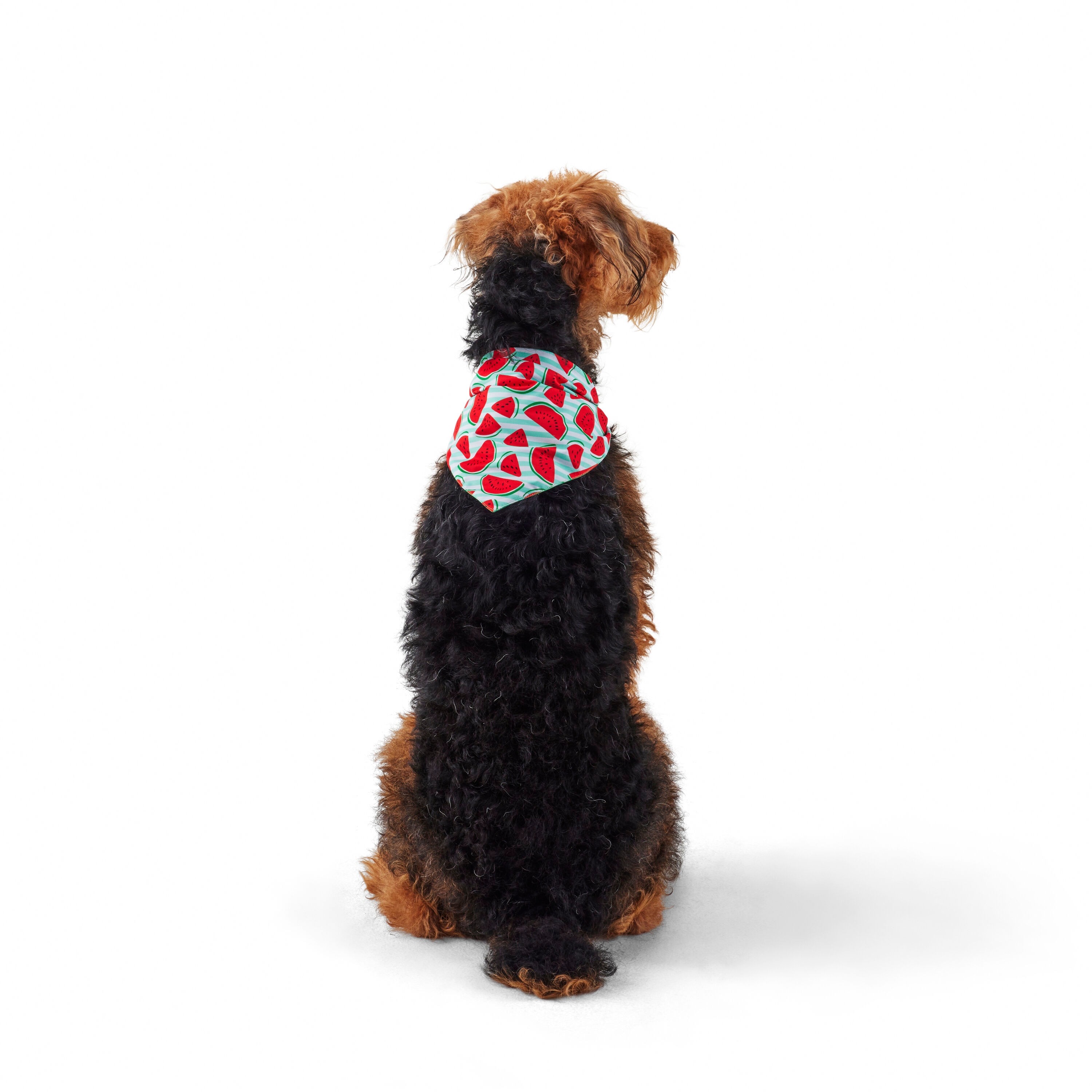 Heart & Herd YB26101 Dog-Clothing-Acc - View #7