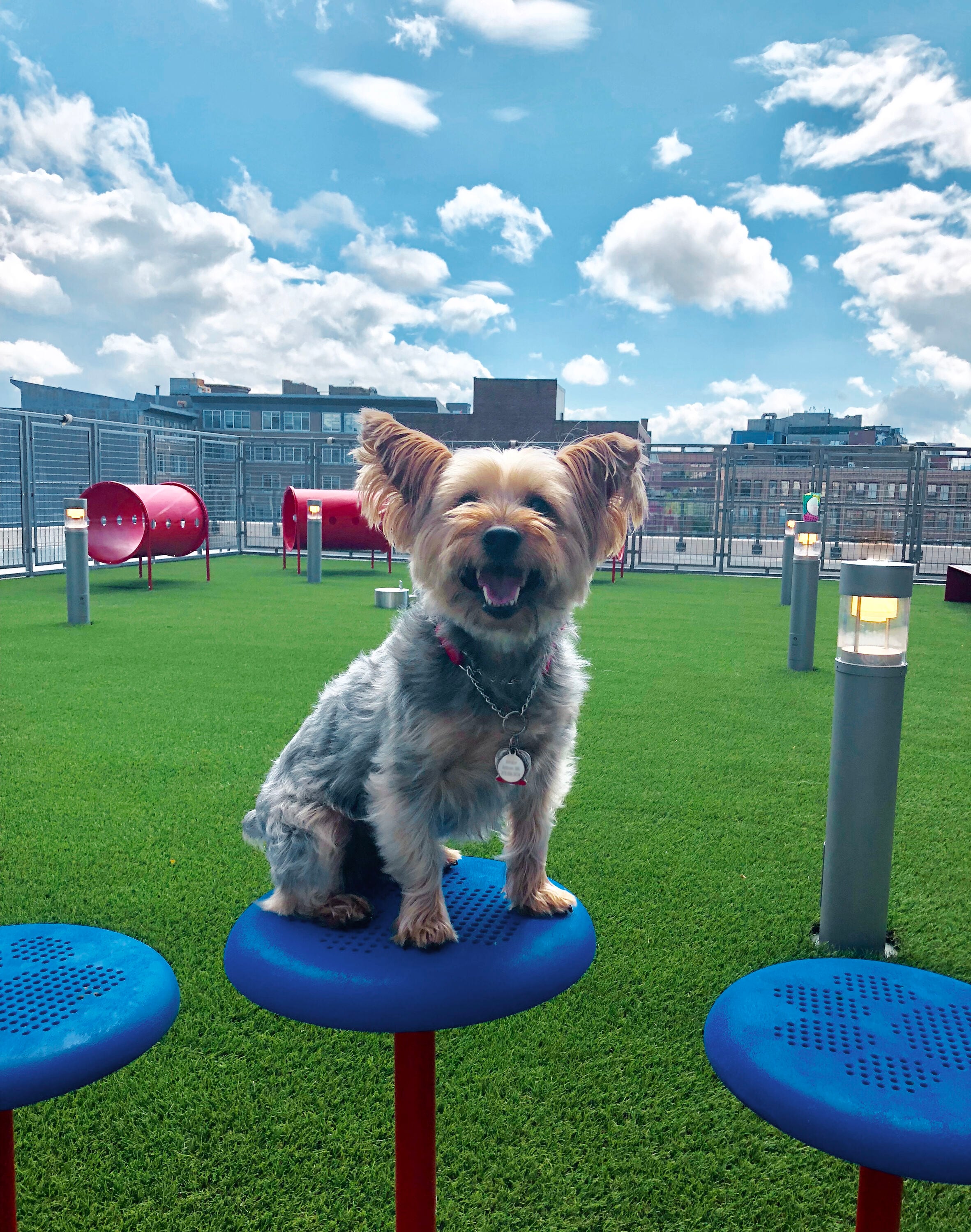 UltraPlay PBARK-470P Dog-Park-Agility-Course-Components - View #5