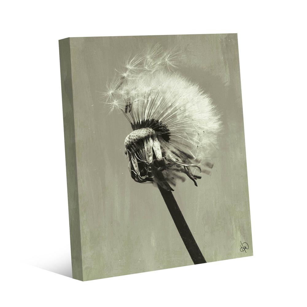 Creative Gallery URU000049CAN11X14TX 14-in H x 11-in W Floral Print on Canvas