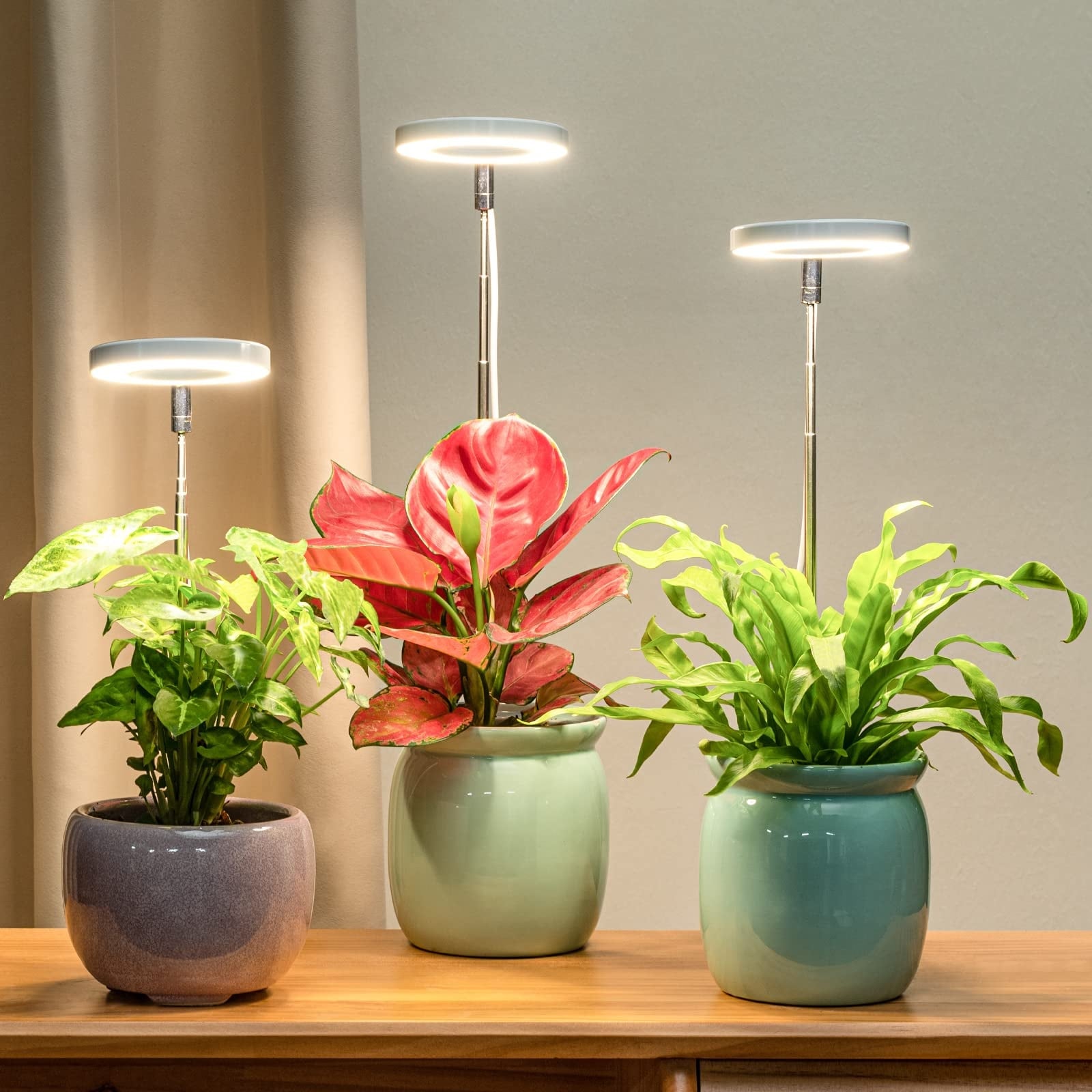 Vrbgify Full Spectrum LED Plant Light for Indoor Plants Height ...