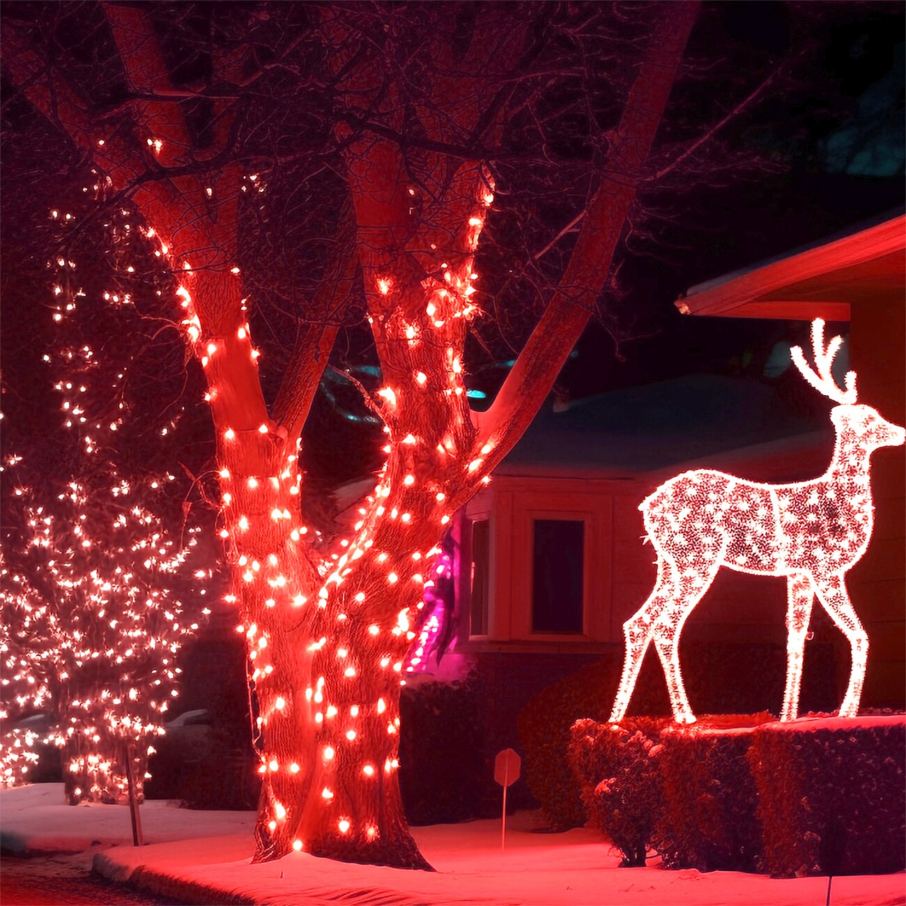 Ainfox WDPZ038RE Rope-Lights - View #4