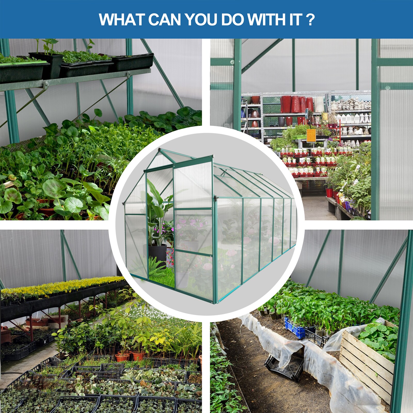 Kahomvis WWC-2QP211-04 greenhouses - View #8
