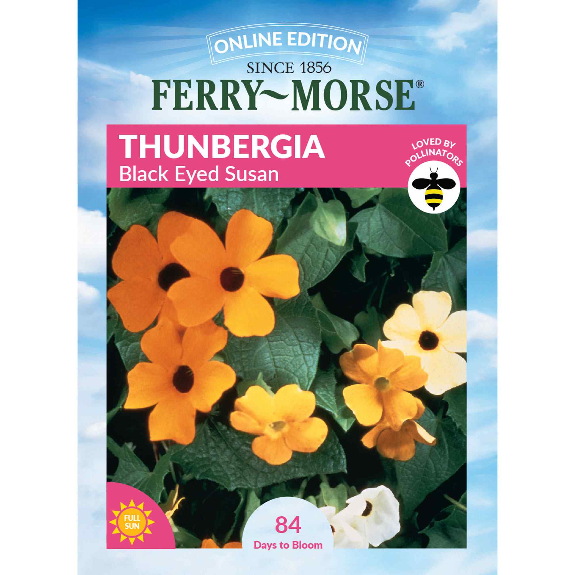 Ferry-Morse LC25.6621 Thunbergia Seeds 1.2 Gram(s)