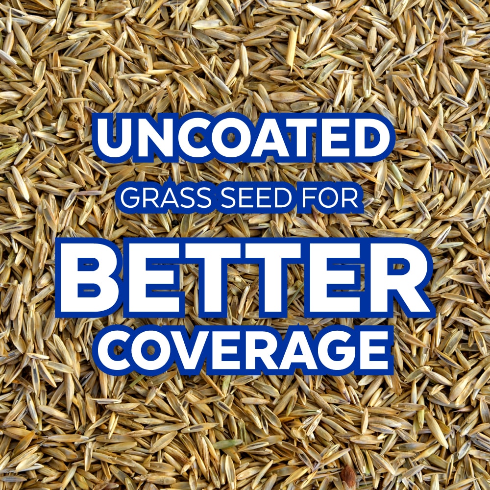 Mountain View Seeds 115565 Grass-Seed - View #5