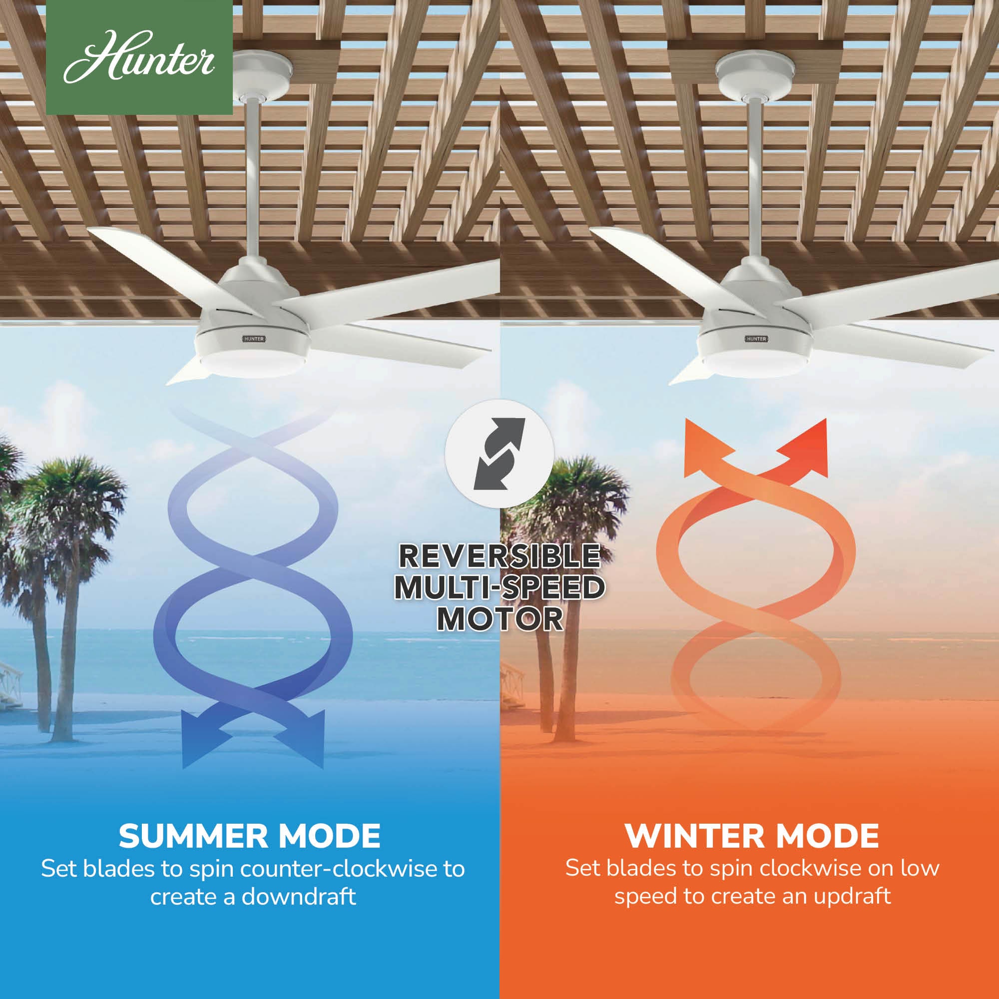 Hunter 52611 Ceiling-Fans - View #7