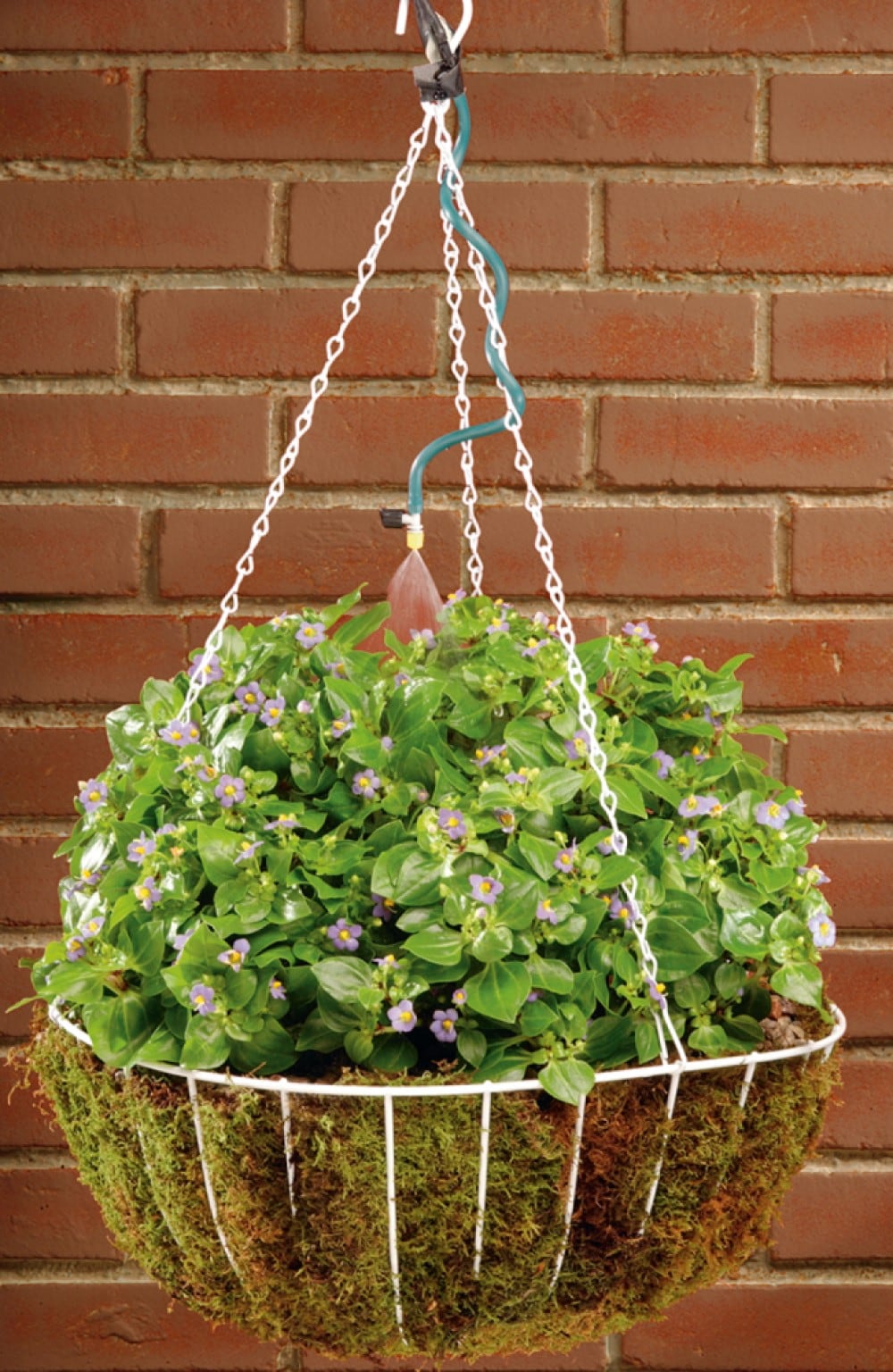Orbit 56311 Drip-Irrigation-Kits - View #7