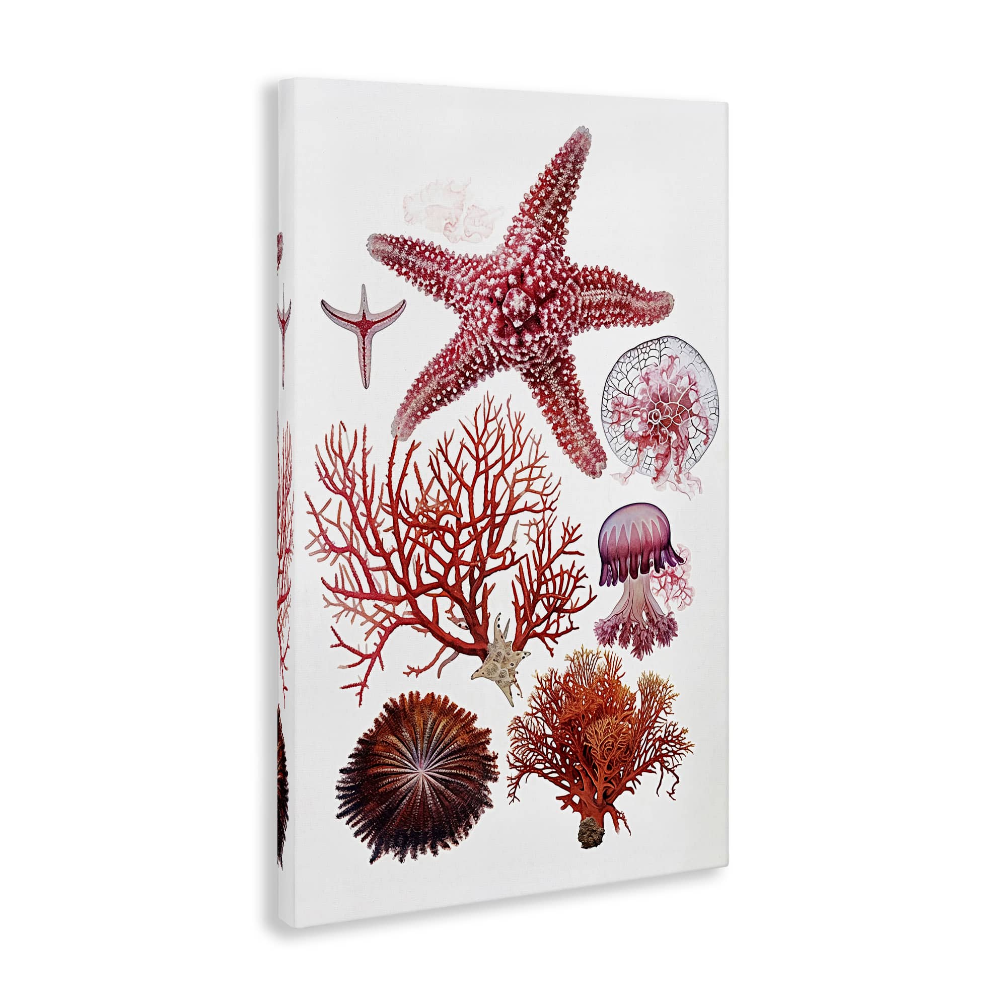 Stupell Industries BS-963-CN-16X24 Wall-Art - View #2