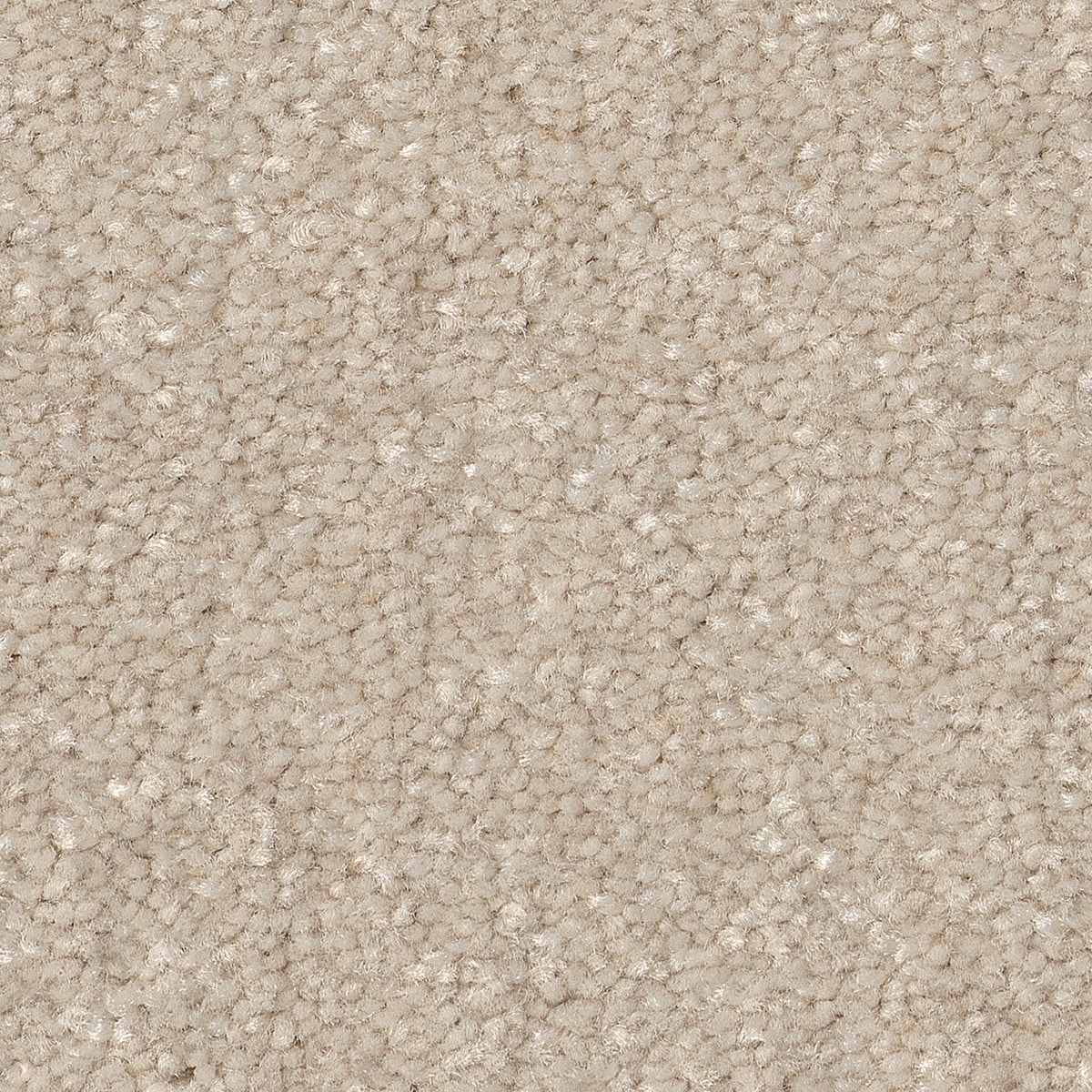STAINMASTER 7L863 - 116 - SAMP (Sample) Best Intentions II Warm Light Brown 53.6-oz sq yard Polyester Textured Indoor Carpet