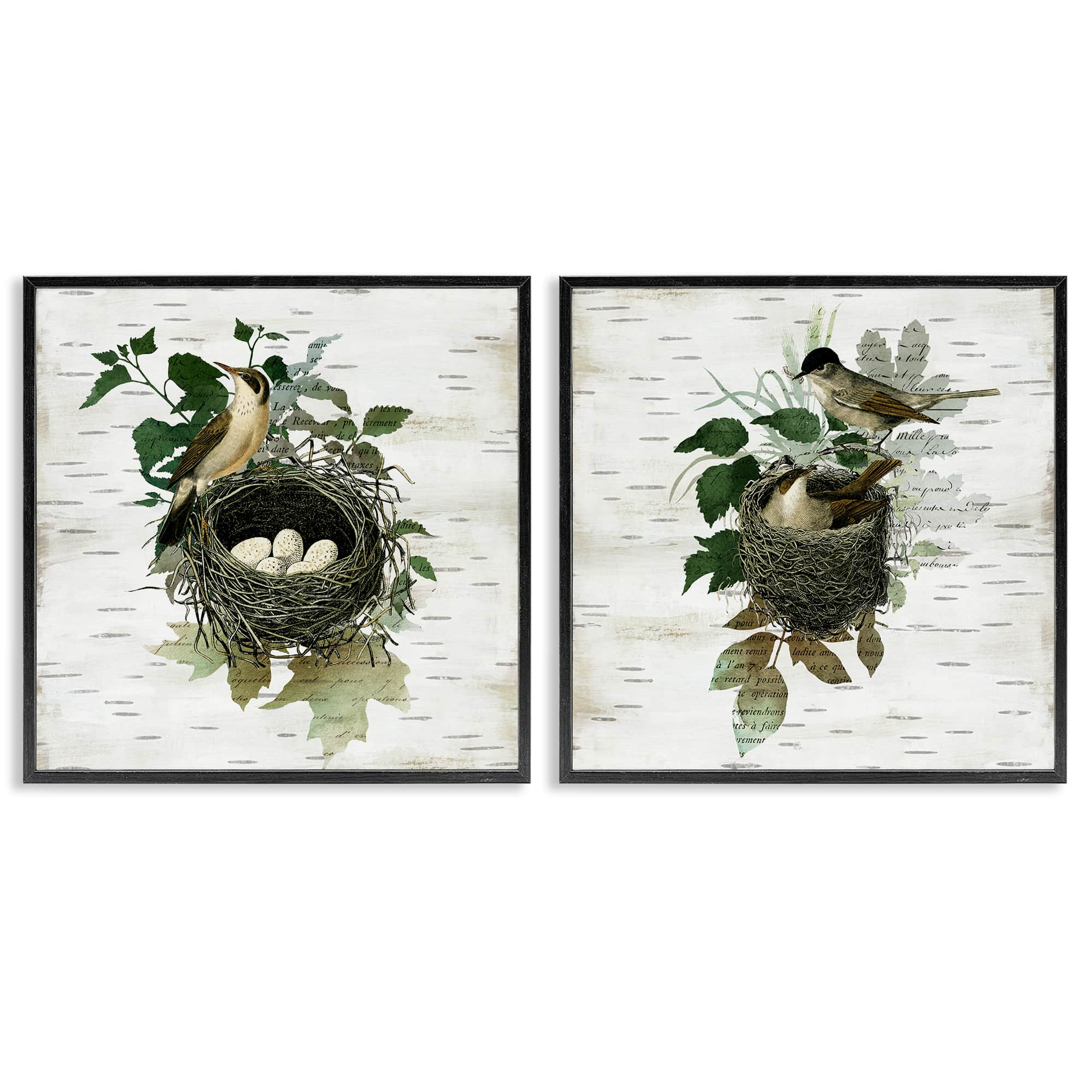 Stupell Industries B2-749-FR-2PC-17X17 Rustic Vintage Bird Nests 2pc Framed Giclee Set design by Susan Arnot