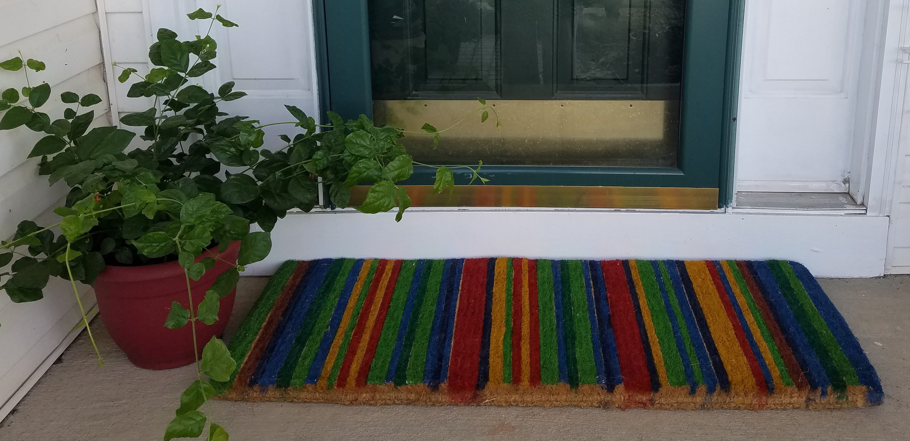 Imports Decor 665TCM-L Mats-Cat - View #5