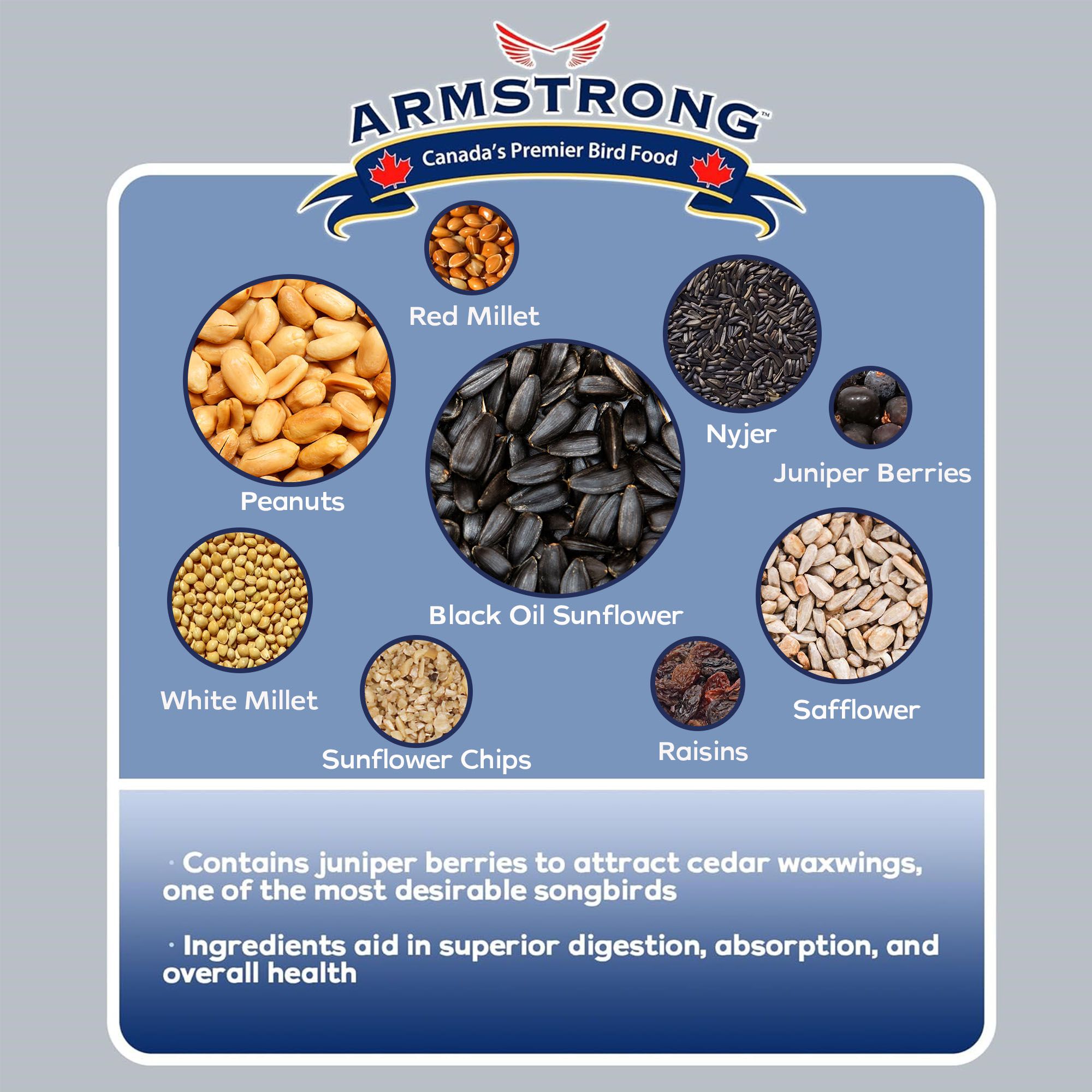 ARMSTRONG 300-913AR Bird-Squirrel-Food - View #4