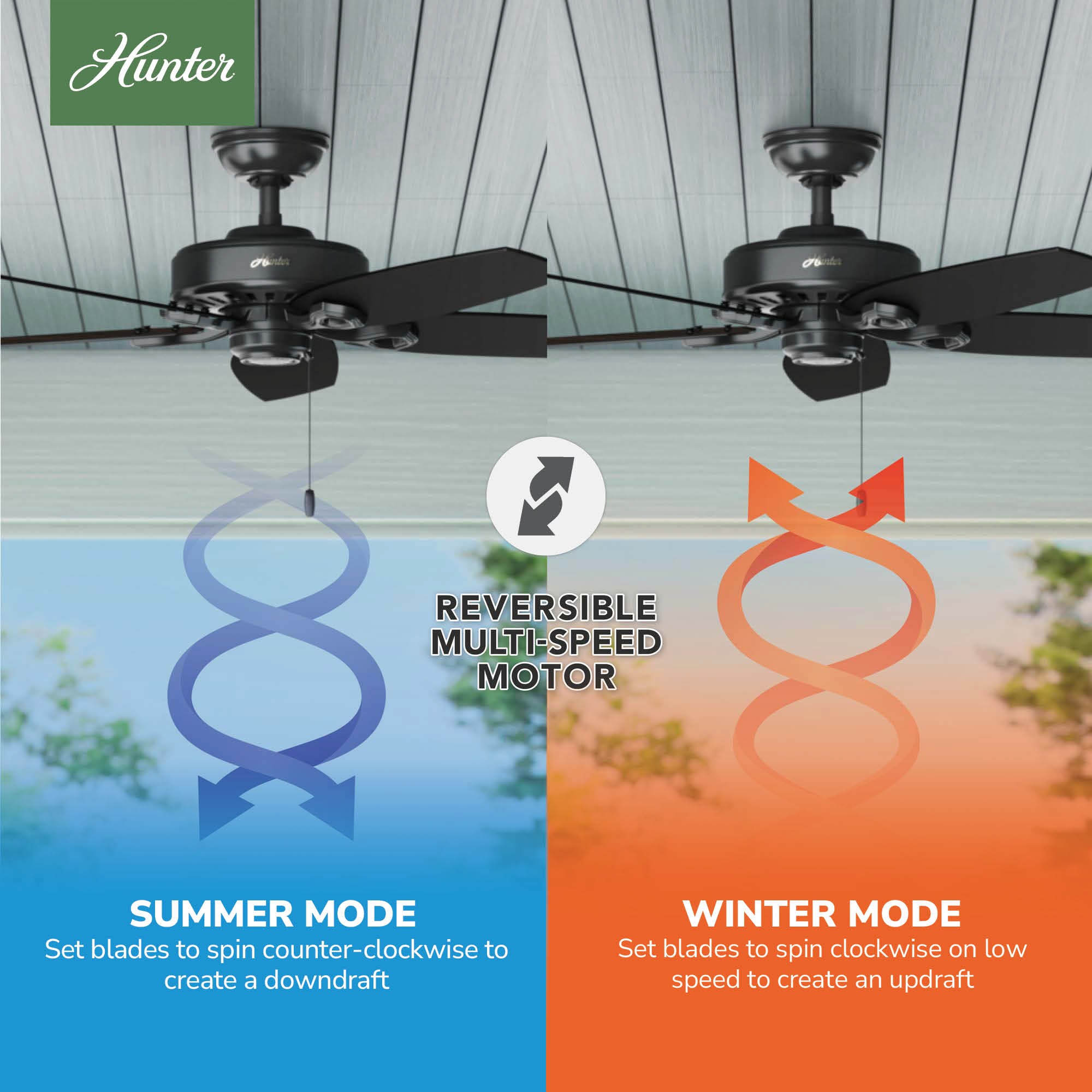 Hunter 53294 Ceiling-Fans - View #8