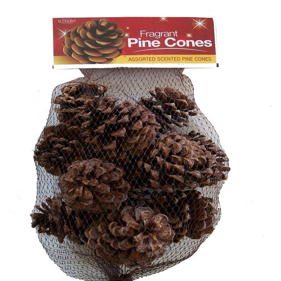 Cinnamon Scented Pinecones 1 lb for Decorating - 40 Pack Small Cinnamon Pinecones for Crafts and Vase Filler - Cinnamon Fragrance Pine Cones