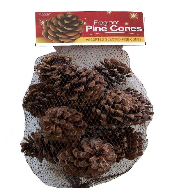 Holiday Living 12ct Scented Pinecone Bag Brown Christmas Winter Decor in  the Christmas Decor department at