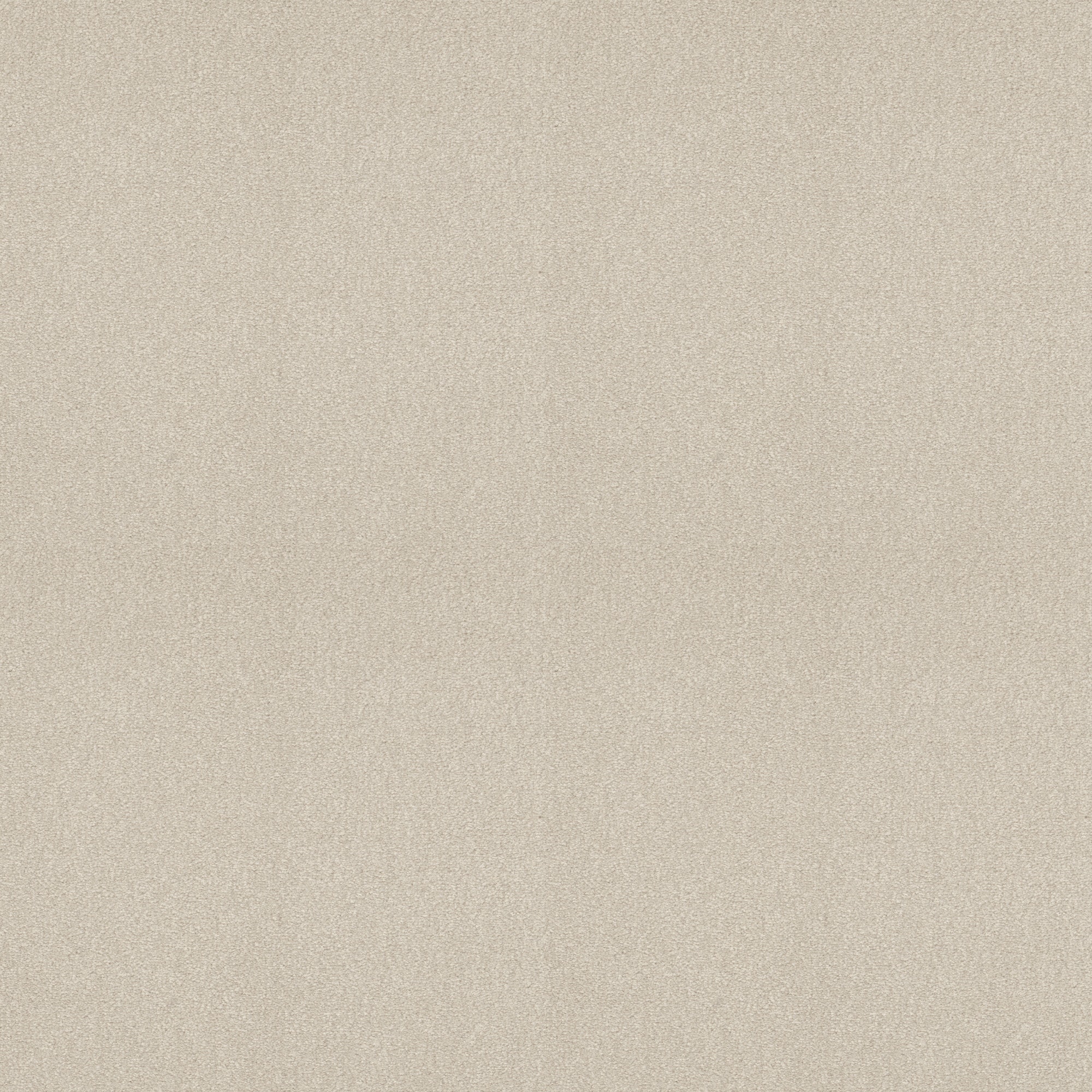 STAINMASTER PetProtect 7L893 - 156 - SAMP (Sample) Sweet Spot II Whitewashed Oak Off-white 58.5-oz sq yard Nylon Textured Indoor Carpet