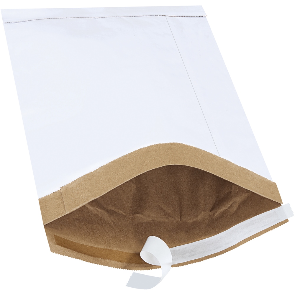 Project Source B807WSS25PK 25 -Count #4 14.5-Inches x 9.5-Inches