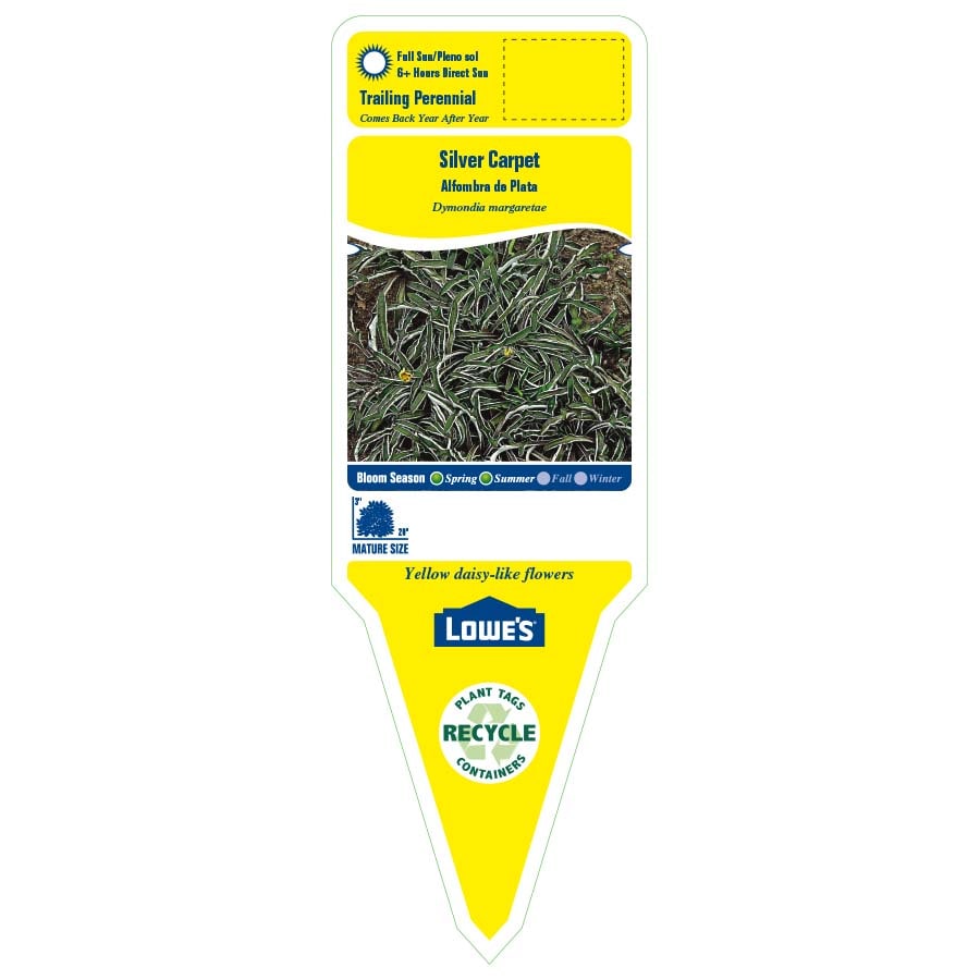 Lowe's 3339357 perennials - View #2