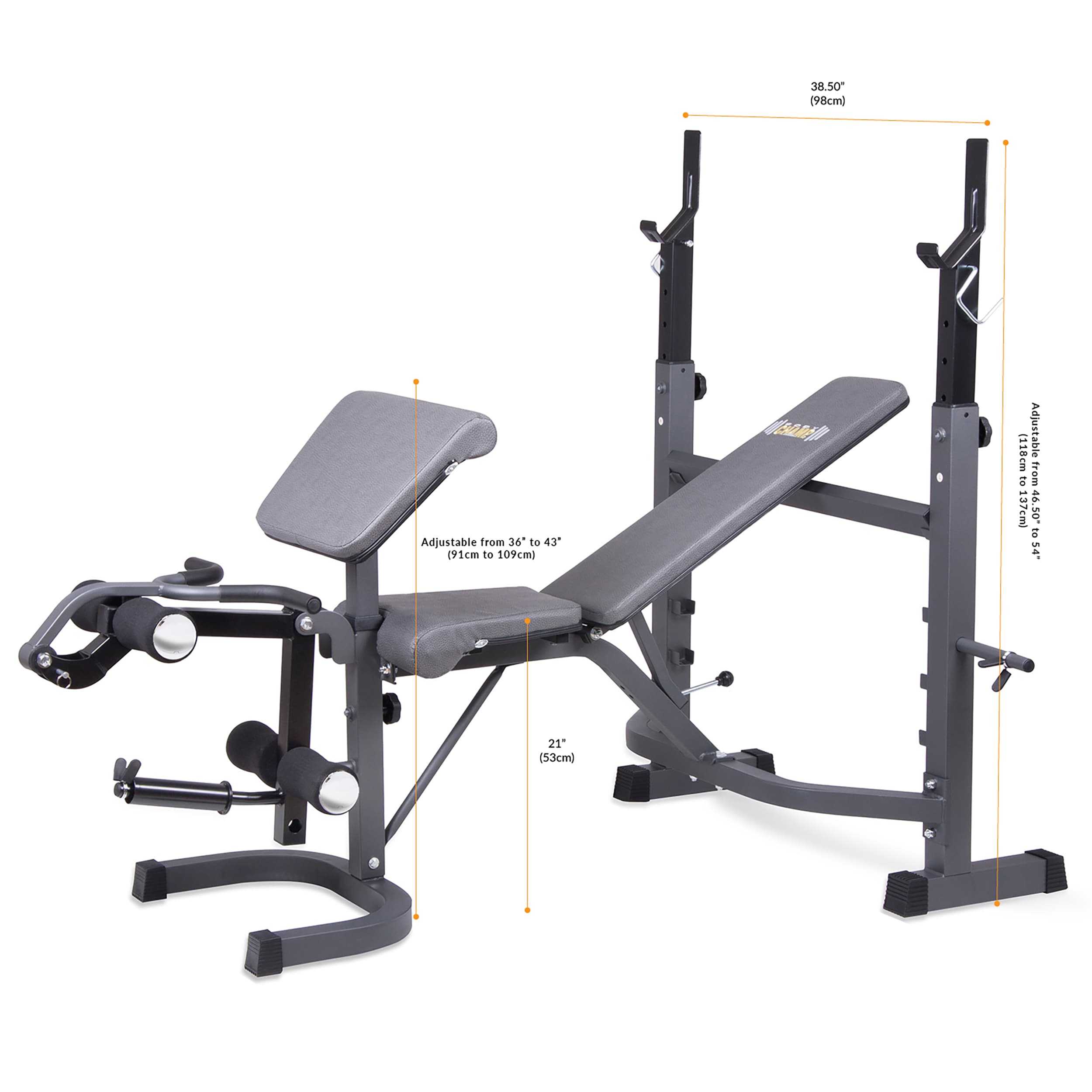 Body Flex Sports Body Champ Adjustable Olympic Freestanding Weight Bench in  the Weight Benches department at