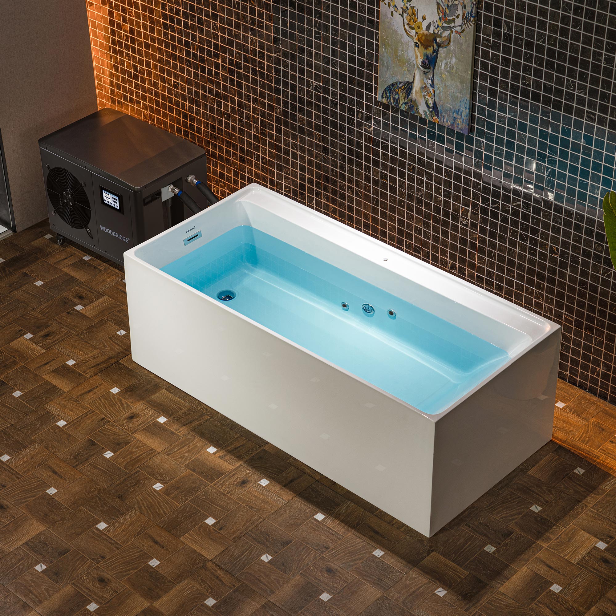 Woodbridge LB621 bathtubs - View #2