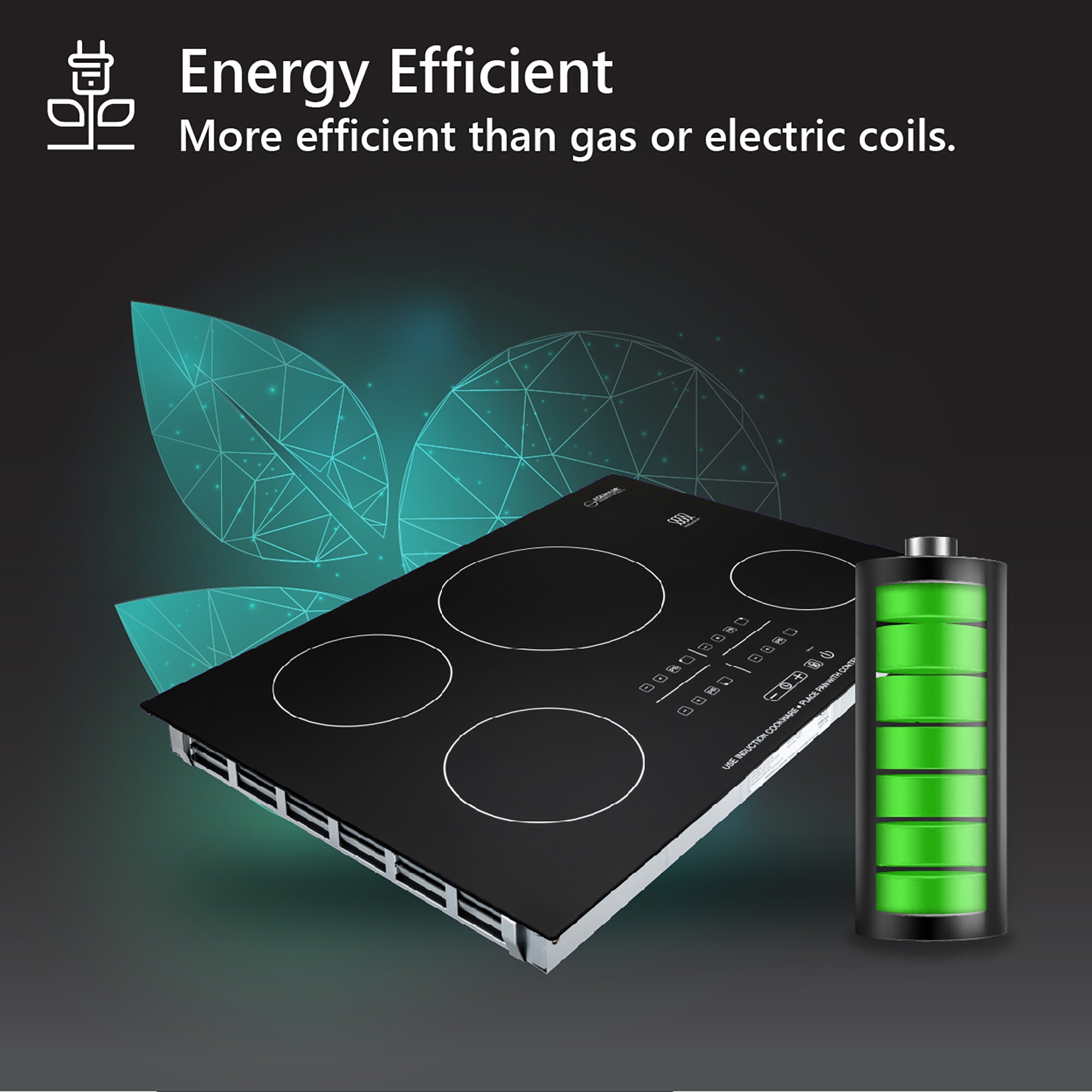 Equator 30" Black Ceramic 4 Burner Induction Cooktop