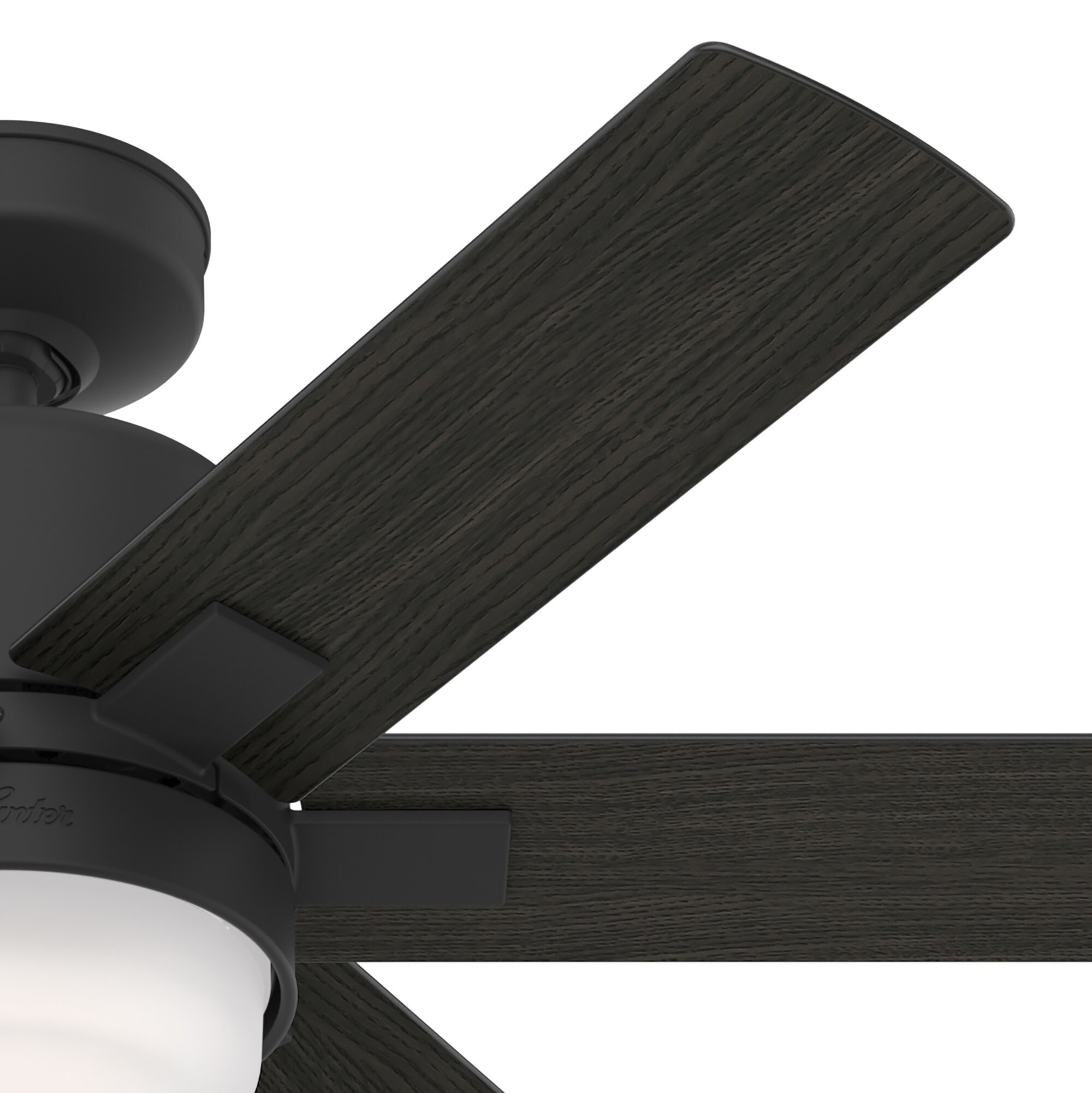 Hunter 51291 Ceiling-Fans - View #11