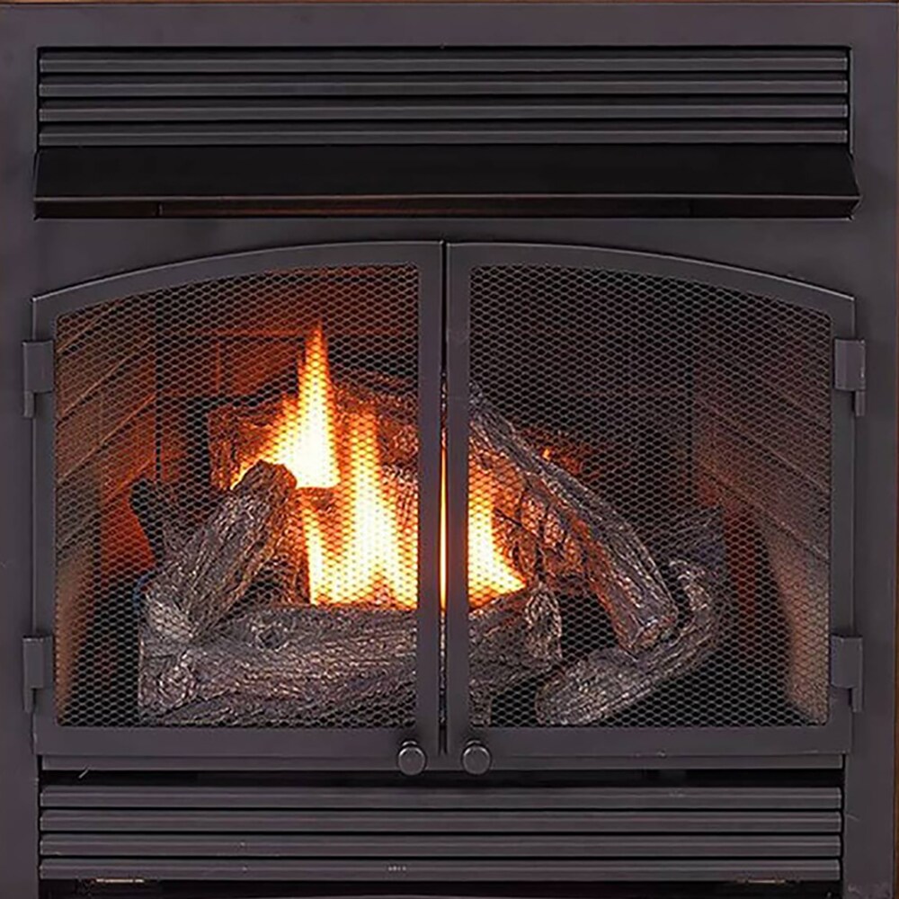 ProCom FBNSD400RT-4AS Gas-Fireplaces - View #3