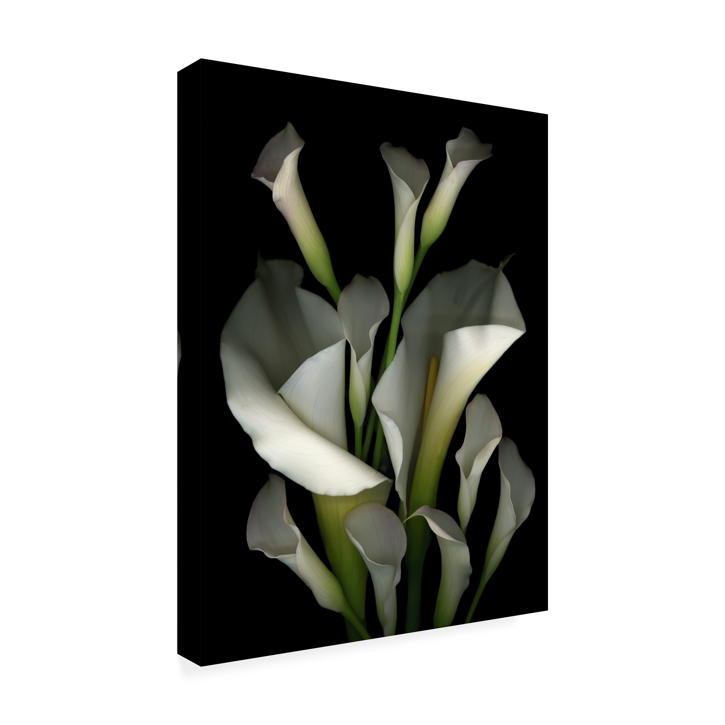 Trademark Fine Art ALI34432-C2432GG Wall-Art - View #3