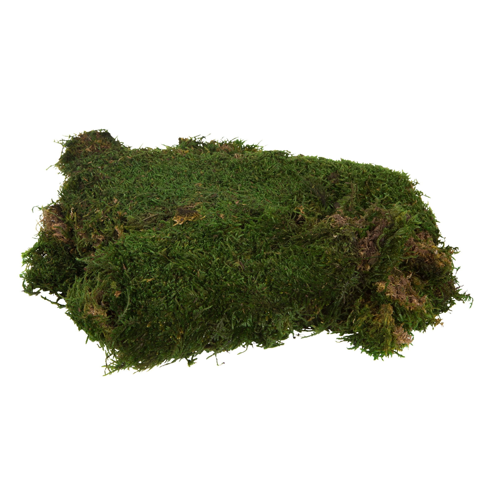 Vickerman H1MOU160 17-Inches Green Indoor Desktop Mixed greenery Artificial plant