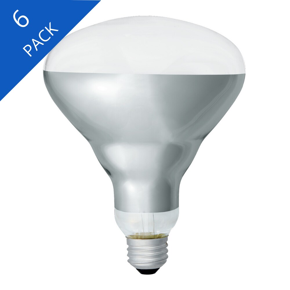 diepte Boos Generator GE 250-Watt Dimmable R40 Heat Lamp Incandescent Light Bulb (6-Pack) at  Lowes.com