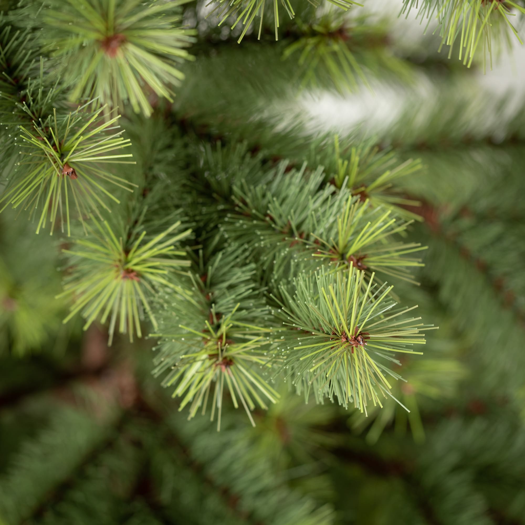 Sullivans TR1205 Artificial-Christmas-Trees - View #2