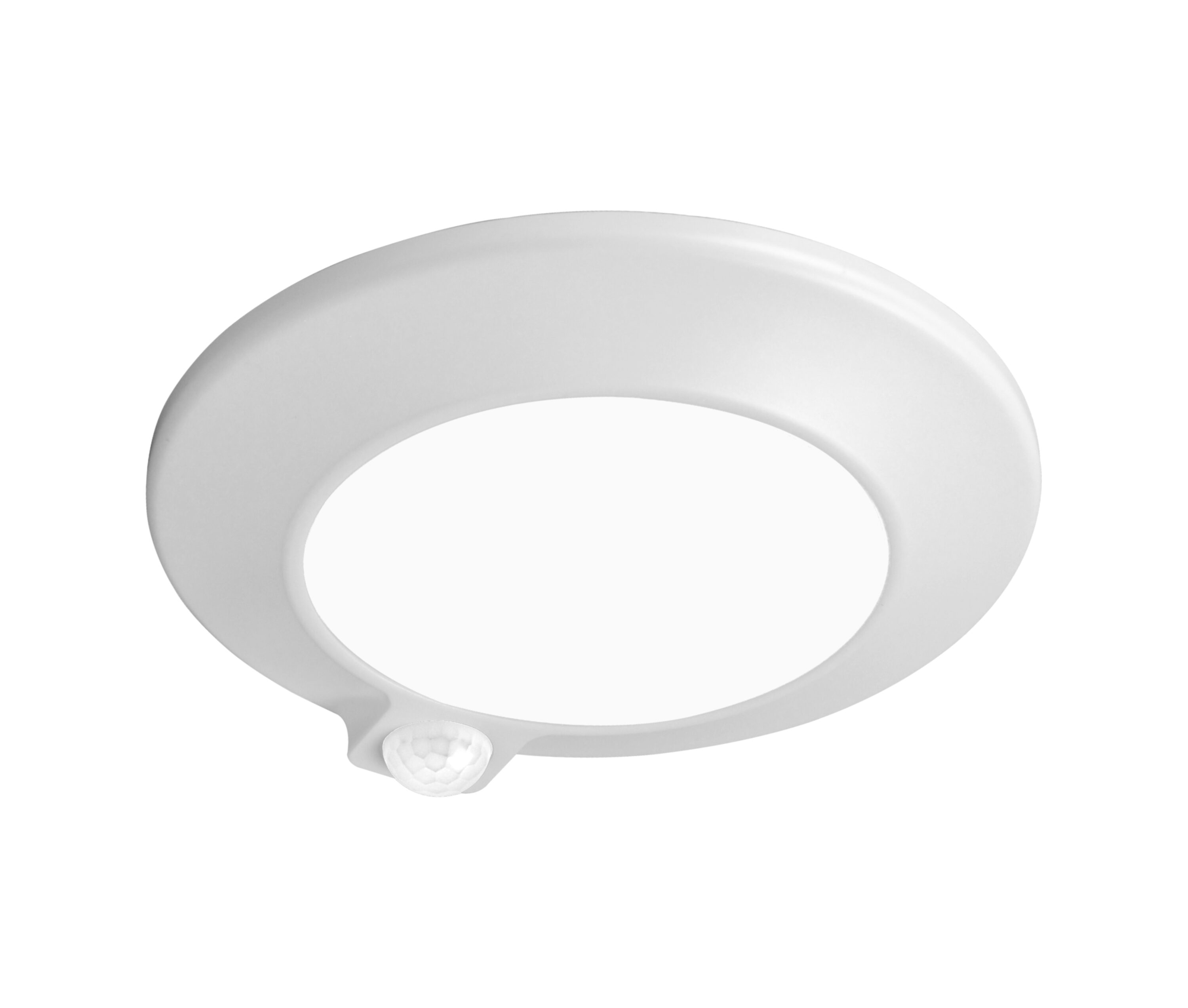 Flush Mount Lighting at Lowe's