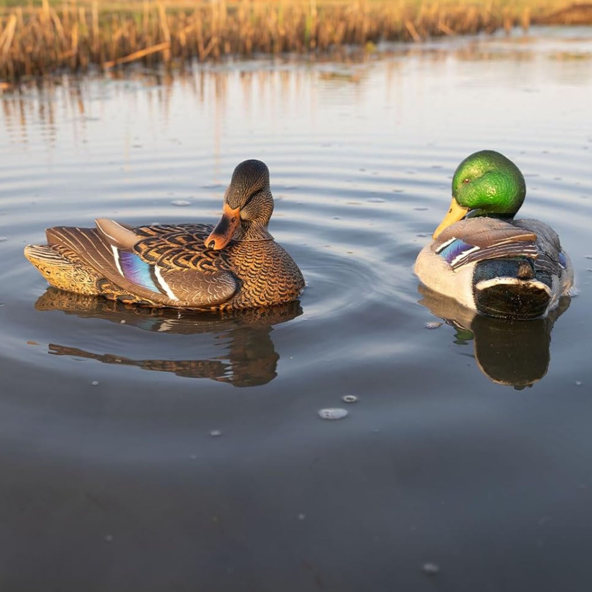 Avian X Power Shaker Mallard Hen Preener - Thumbnail 5