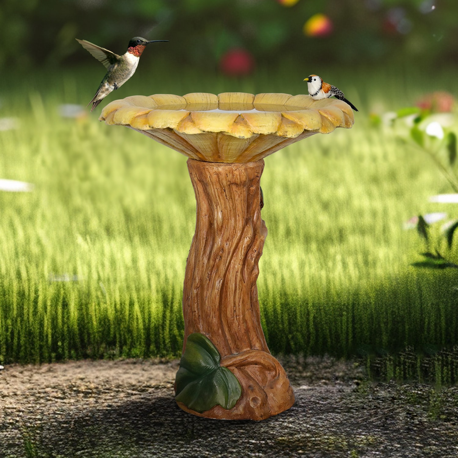 Watnature SJ30045 birdbaths - View #8
