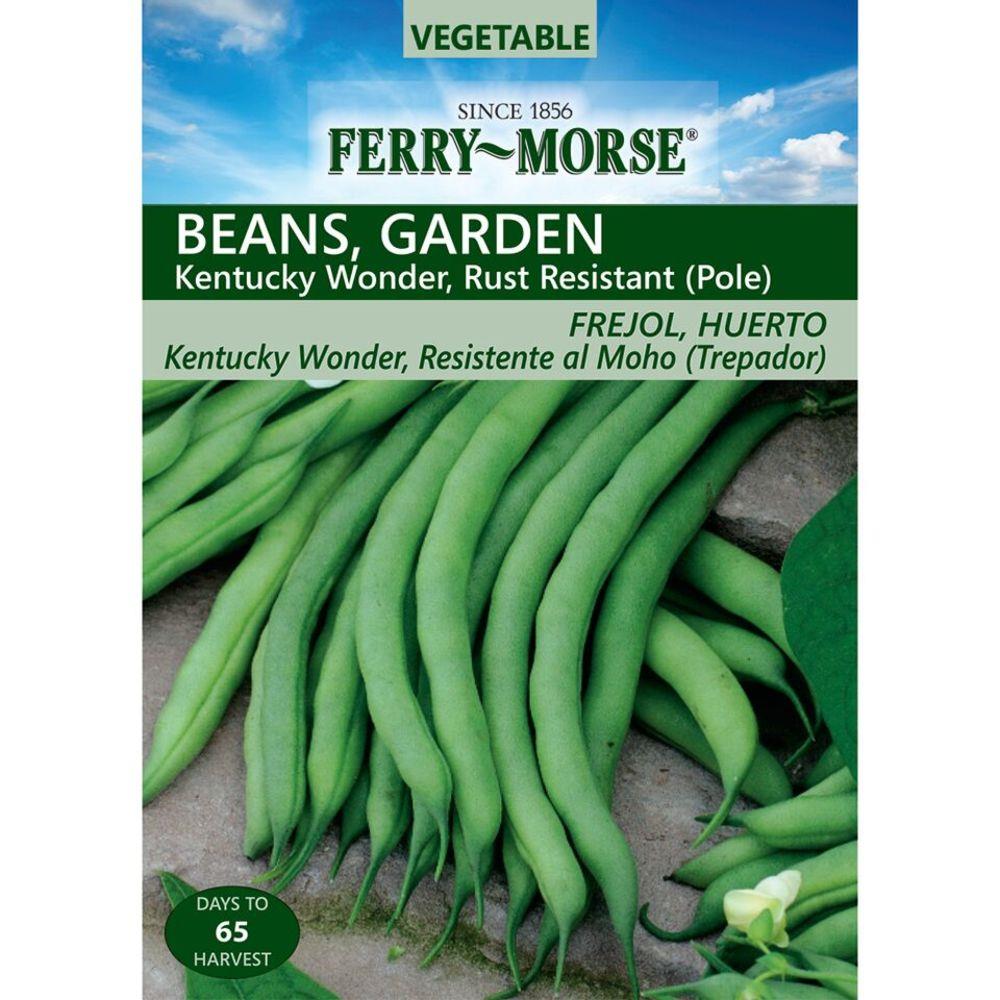 Old Homestead Bean (Kentucky Wonder Pole Bean)