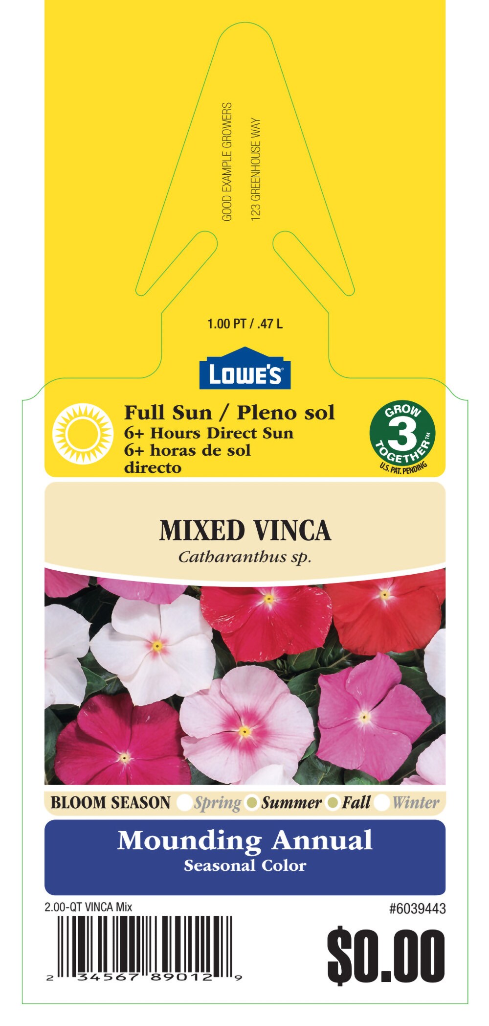  6039443 annuals - View #3