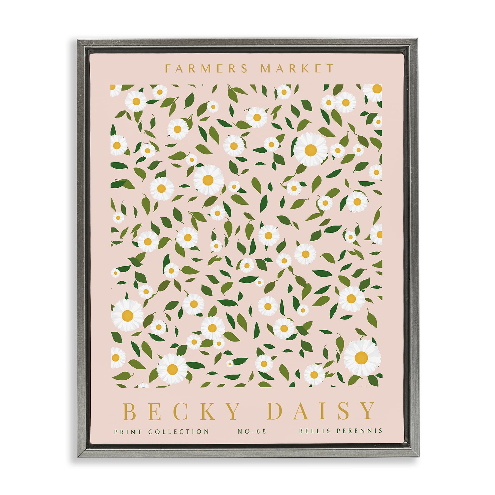 Stupell Industries BS-740-FFL-16X20 Minimal Pastel Daisies Gray Framed Floater Canvas Wall Art By Kamdon Kreations 17 x 21