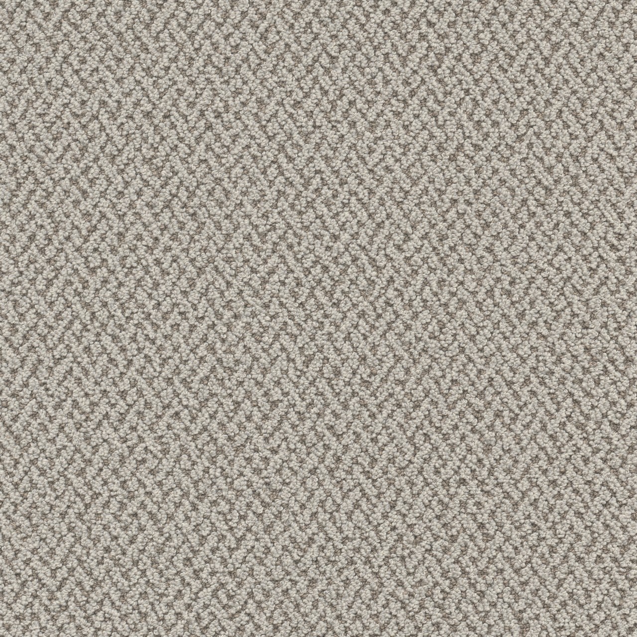 STAINMASTER L5005-3005-0808 (Sample) Harmony Hills Sedgefield Gray 35-oz sq yard Solution-dyed polyester Pattern Indoor Carpet