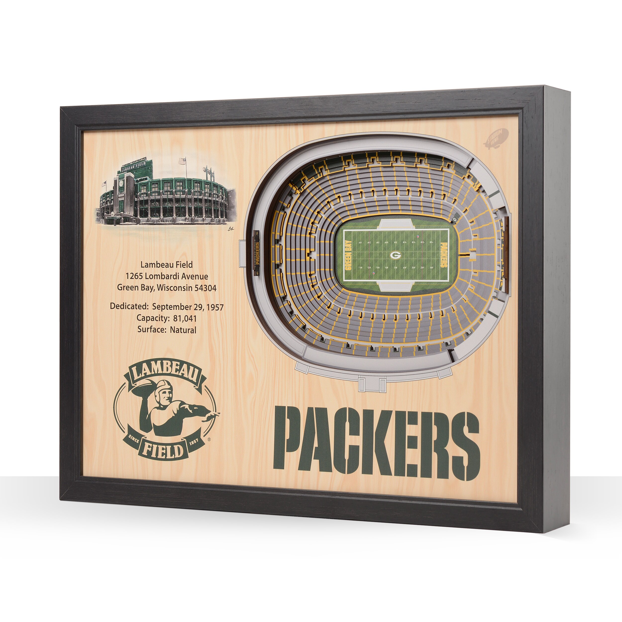 Fan Design Green Bay Packers Stadium 3D View Area Rug