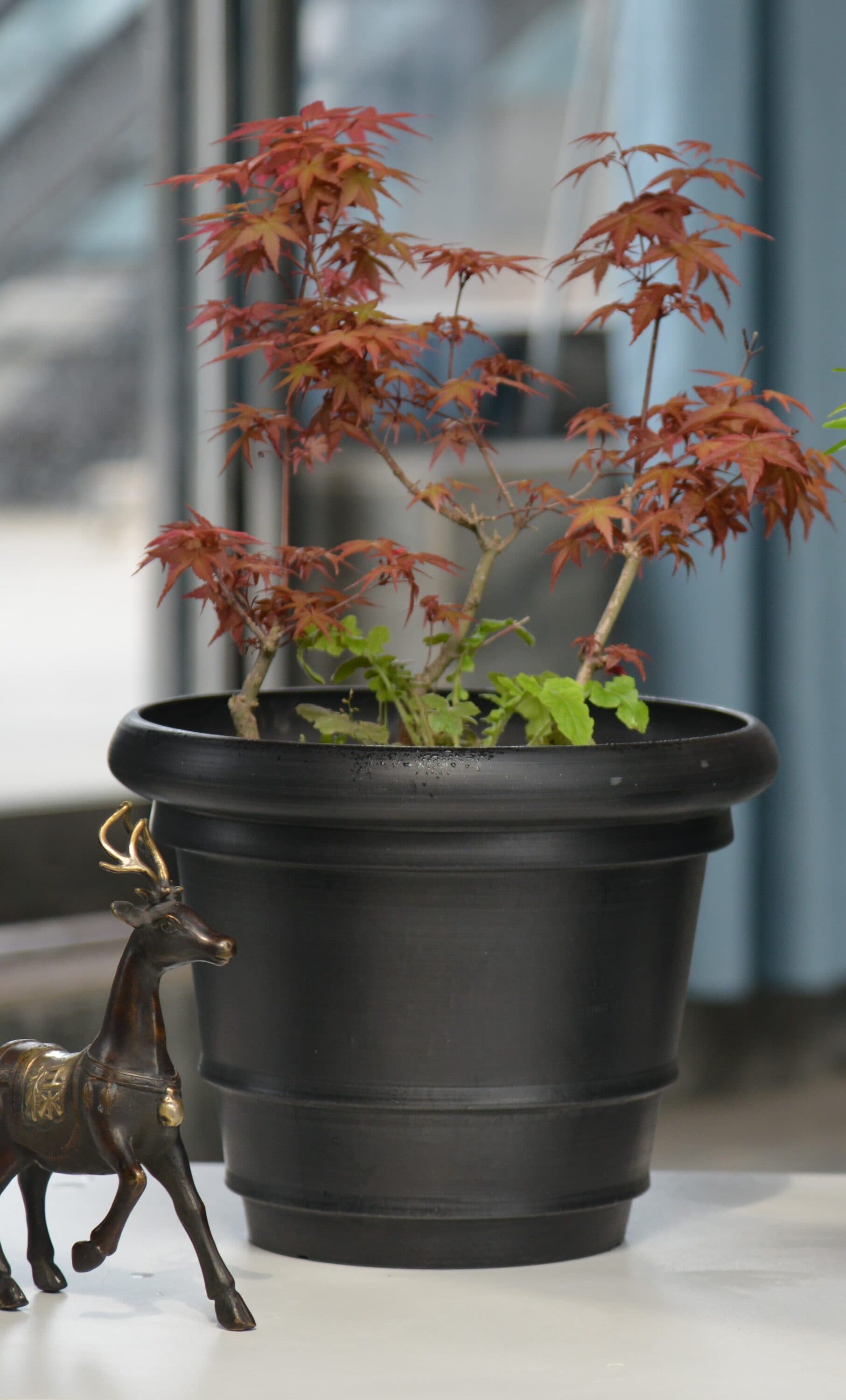 Greenship S-YG38B Planter-Window-Box - View #2