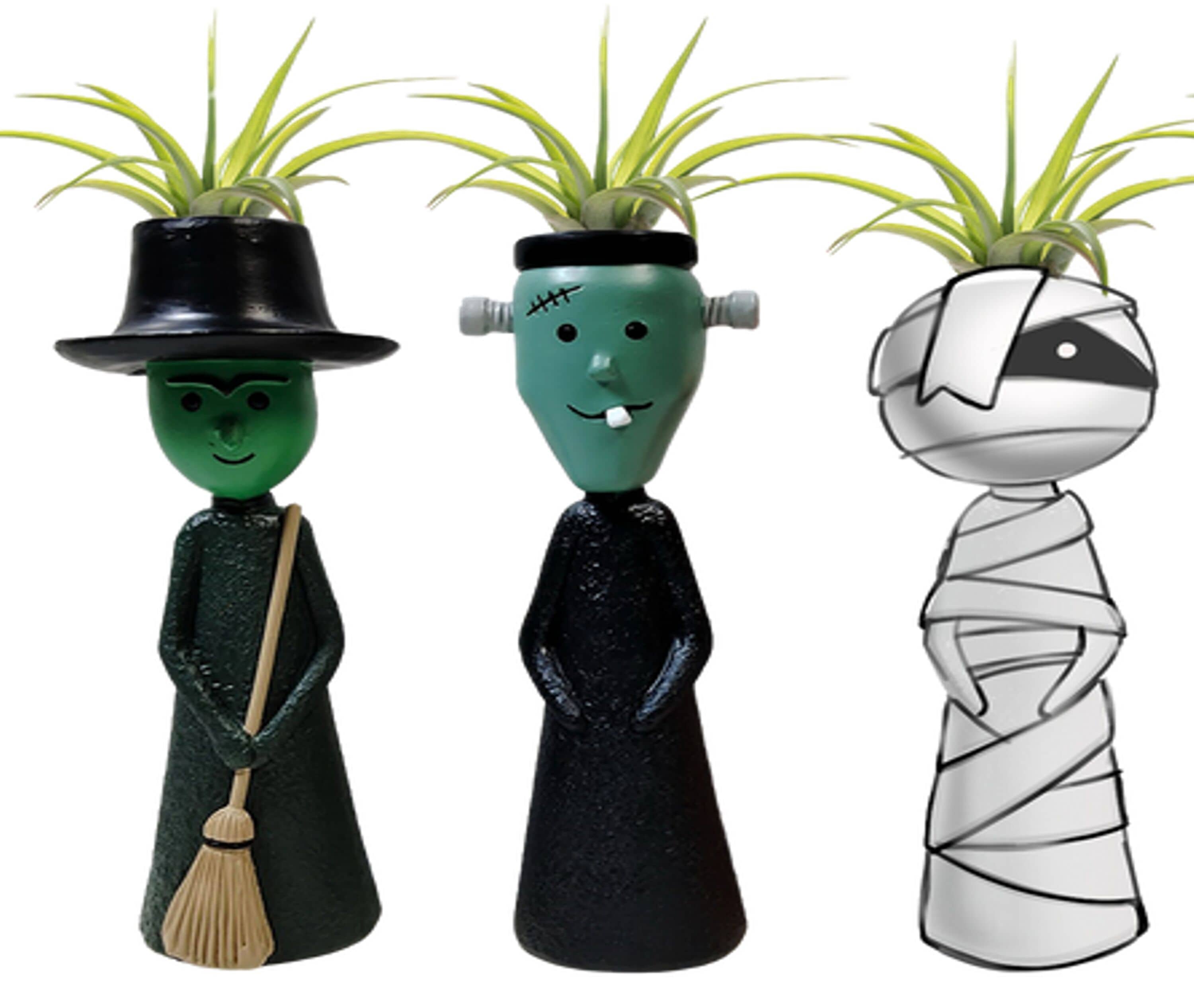 LiveTrends ASB08157 Jeepers Creepers House plant in 3 -Pack Pot 3 -Pack