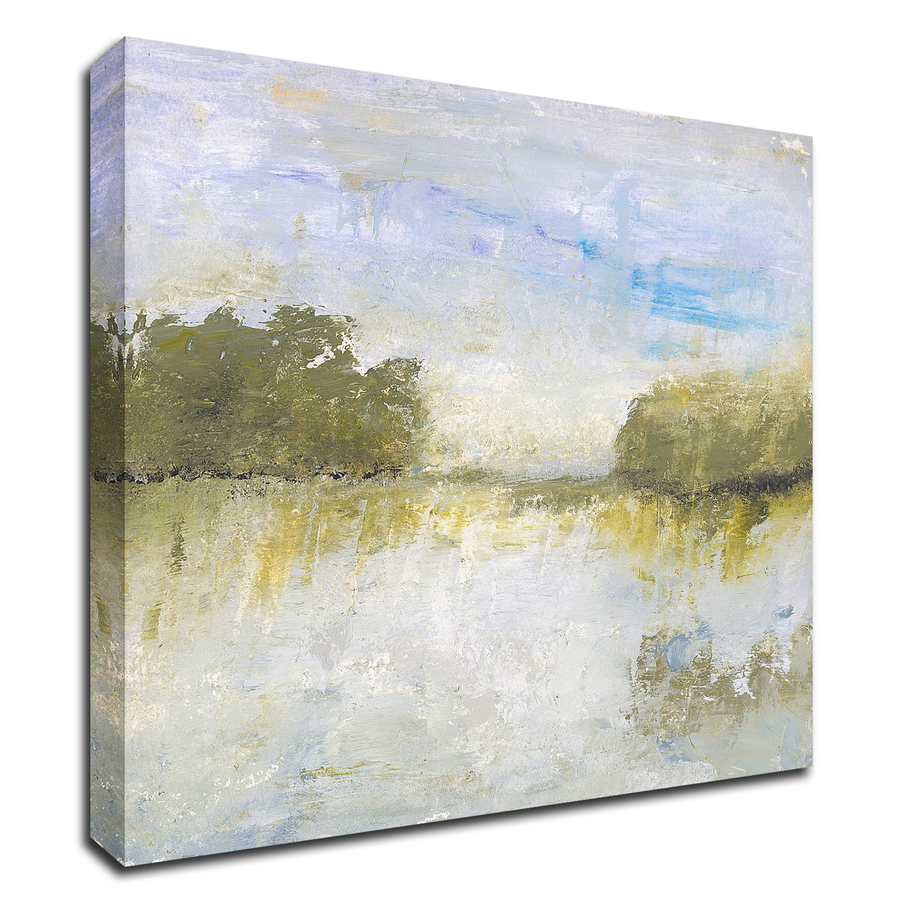 Tangletown Fine Art 8L911DC-2424 The Fields I Call Home Lisa Mann Fine Art 24-in H x 24-in W Abstract Print on Canvas